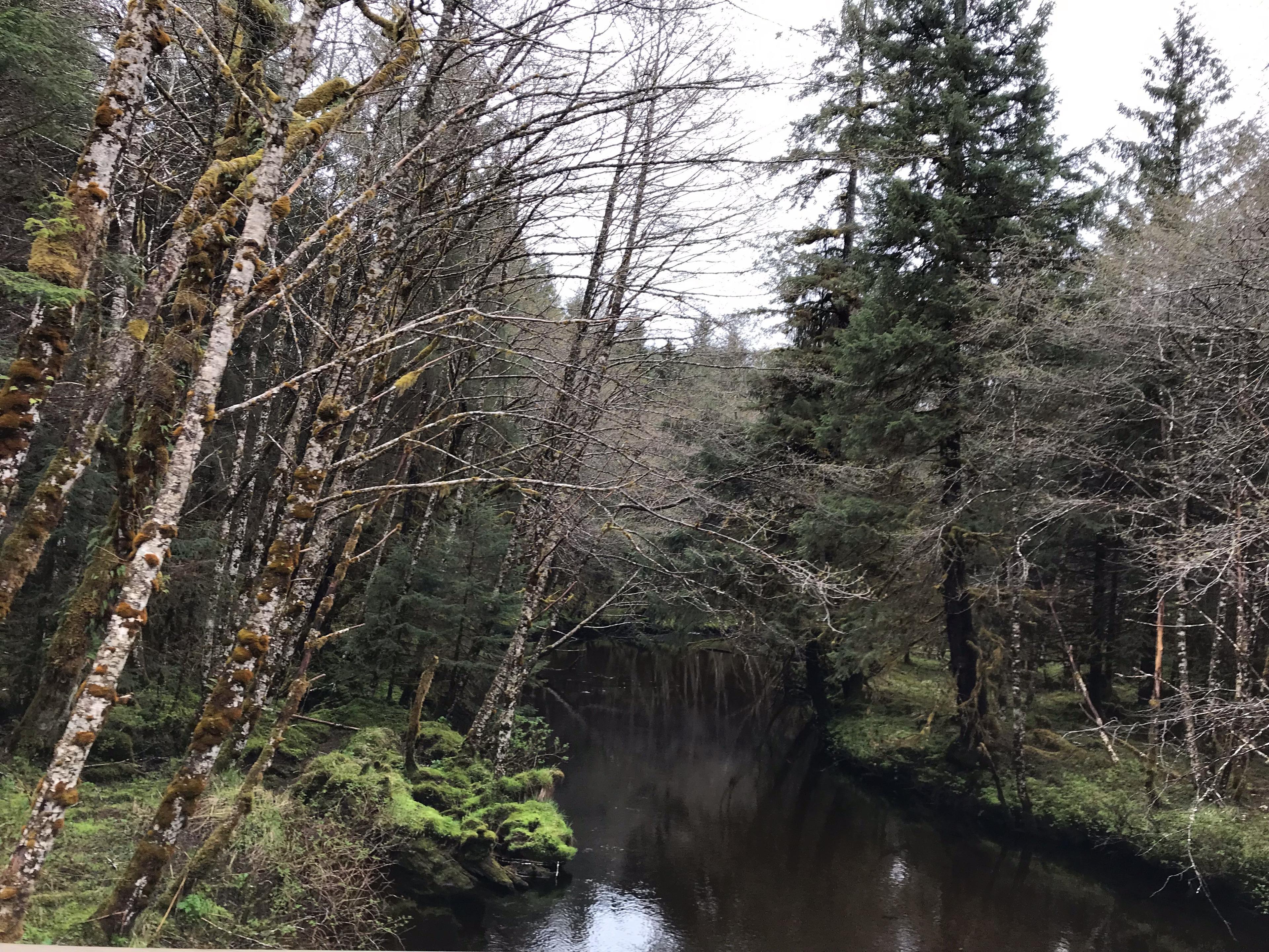 Tongass National Forest