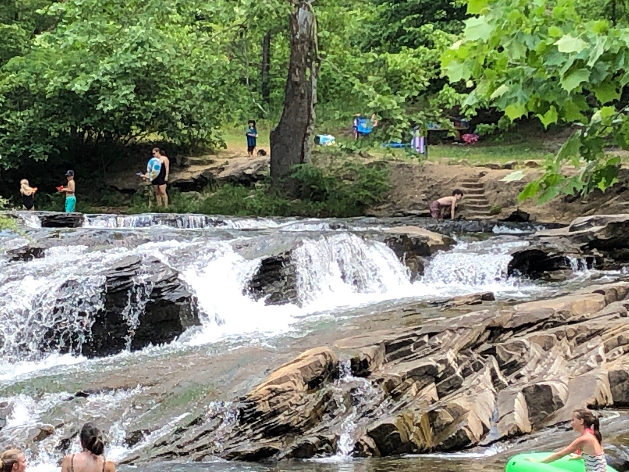 Turkey Creek Nature Preserve