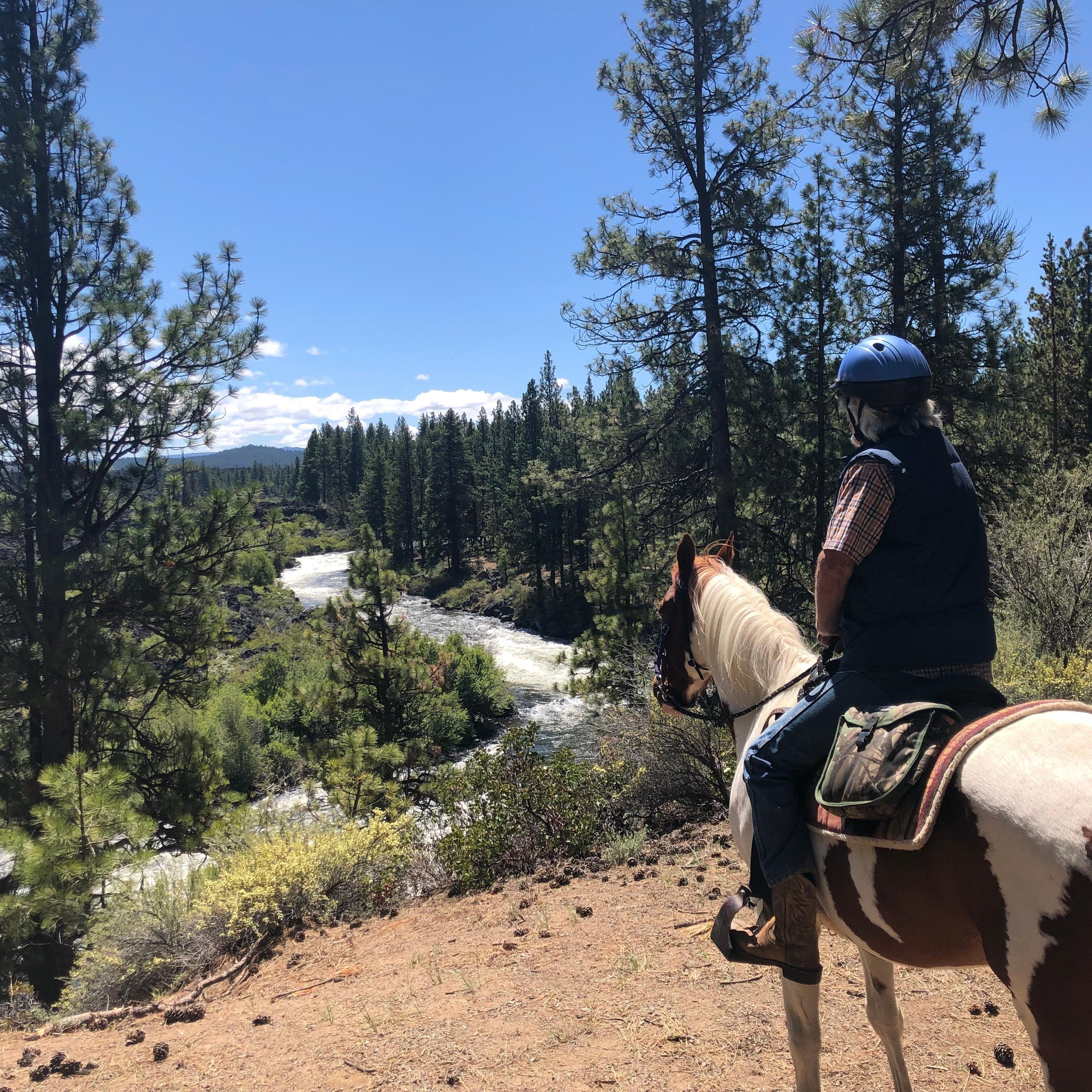 Wilderness Horse Adventures