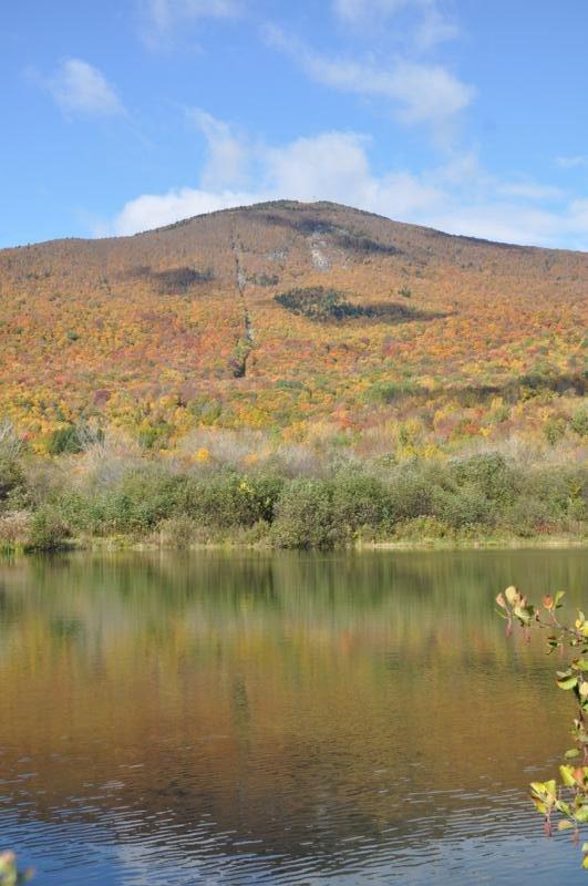 Greylock Glen