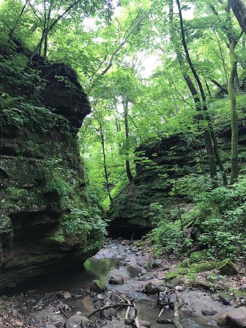 Dolliver Memorial State Park