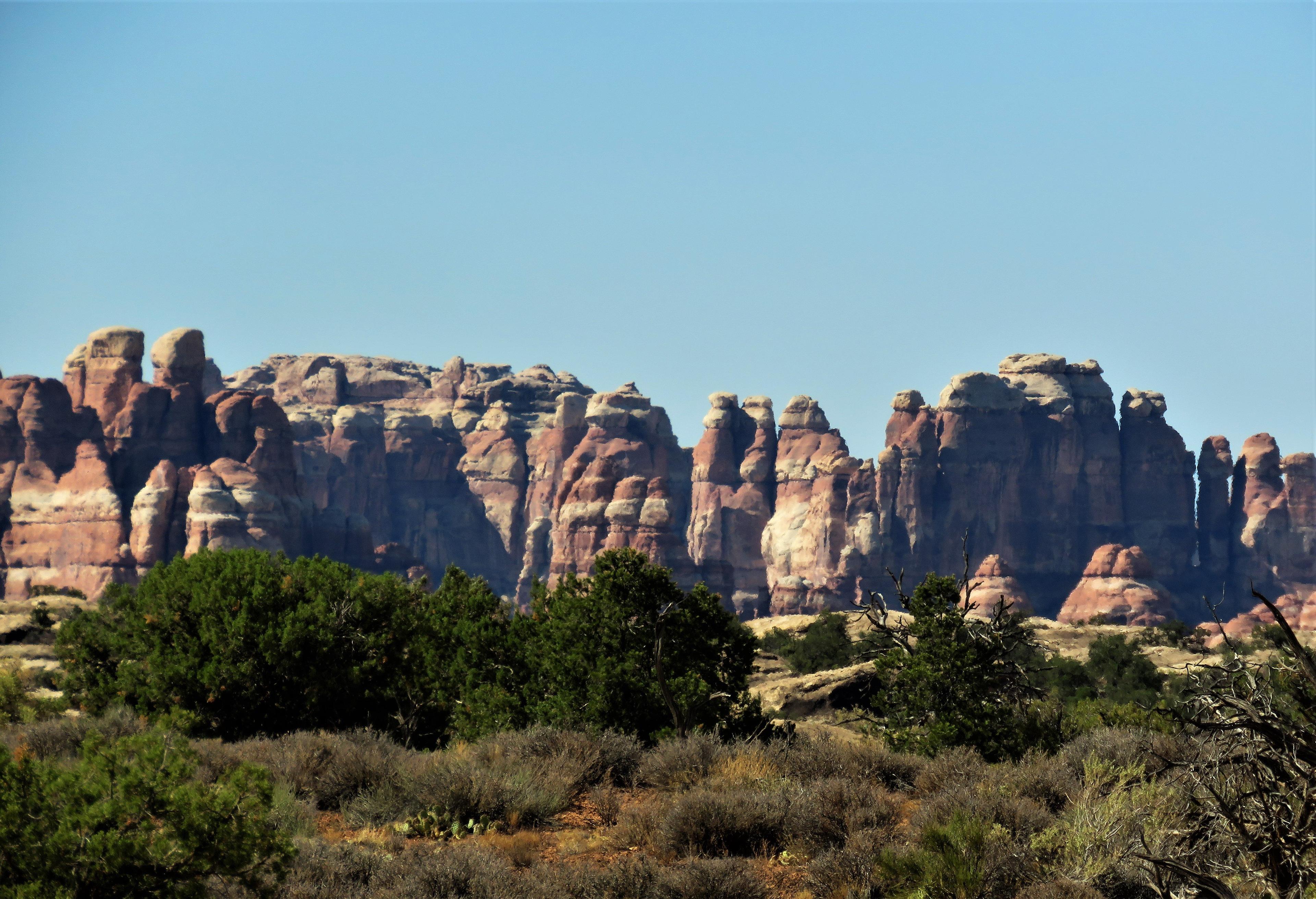 Road to Needles District