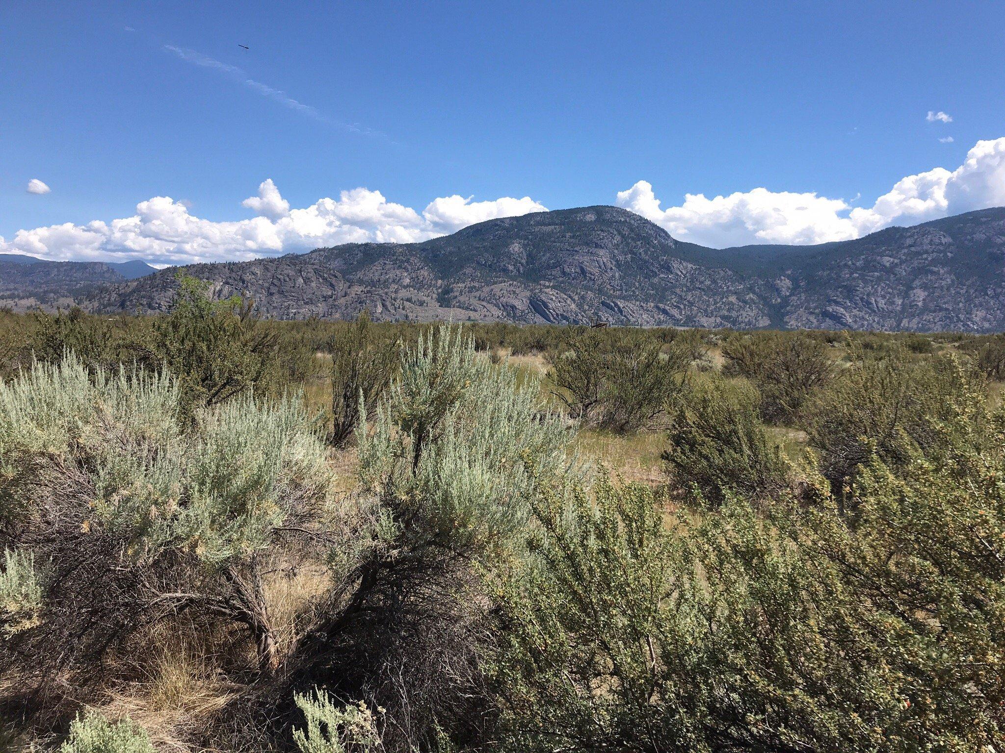 Osoyoos Desert Centre