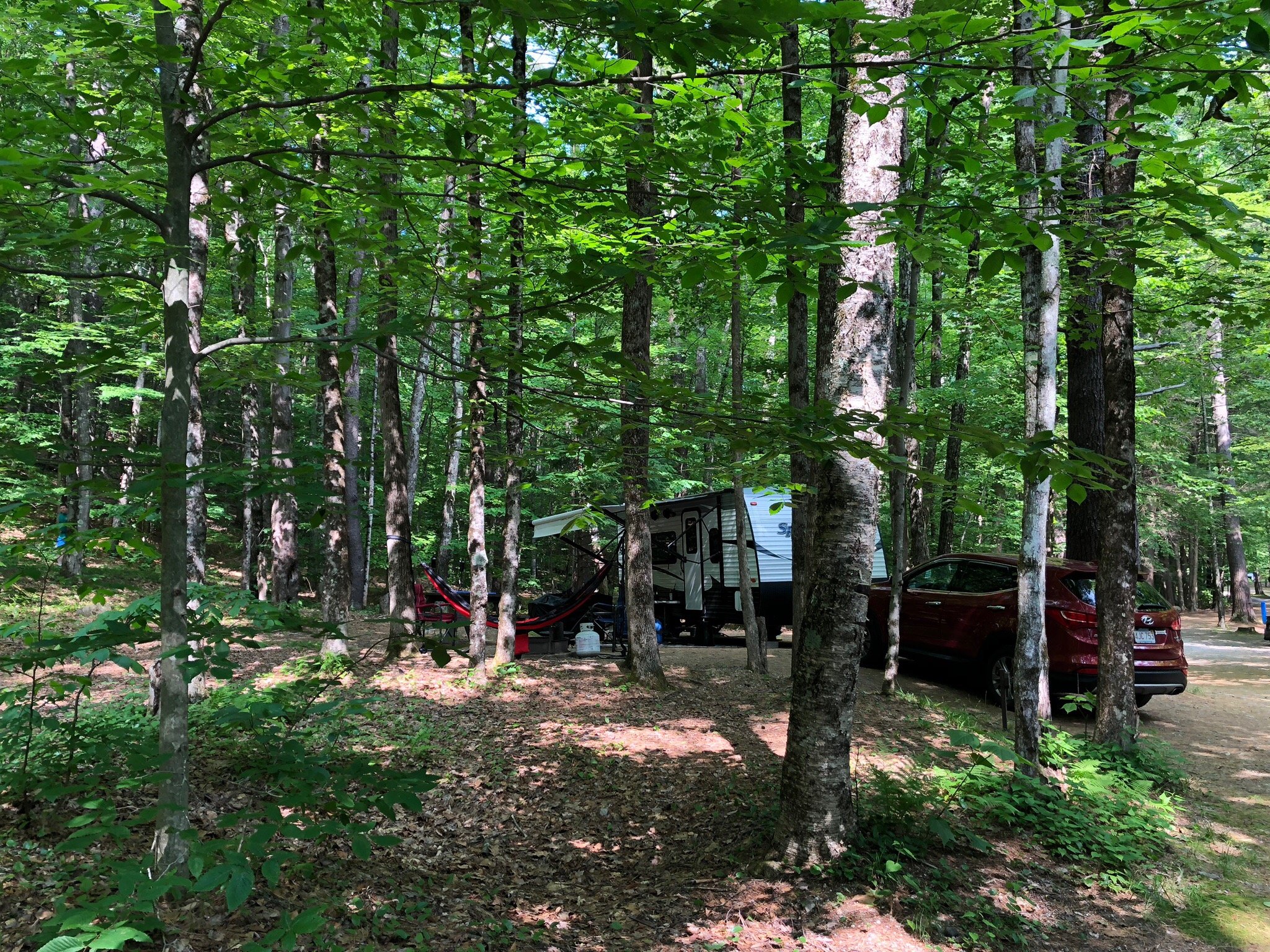 Mohawk Trail State Forest