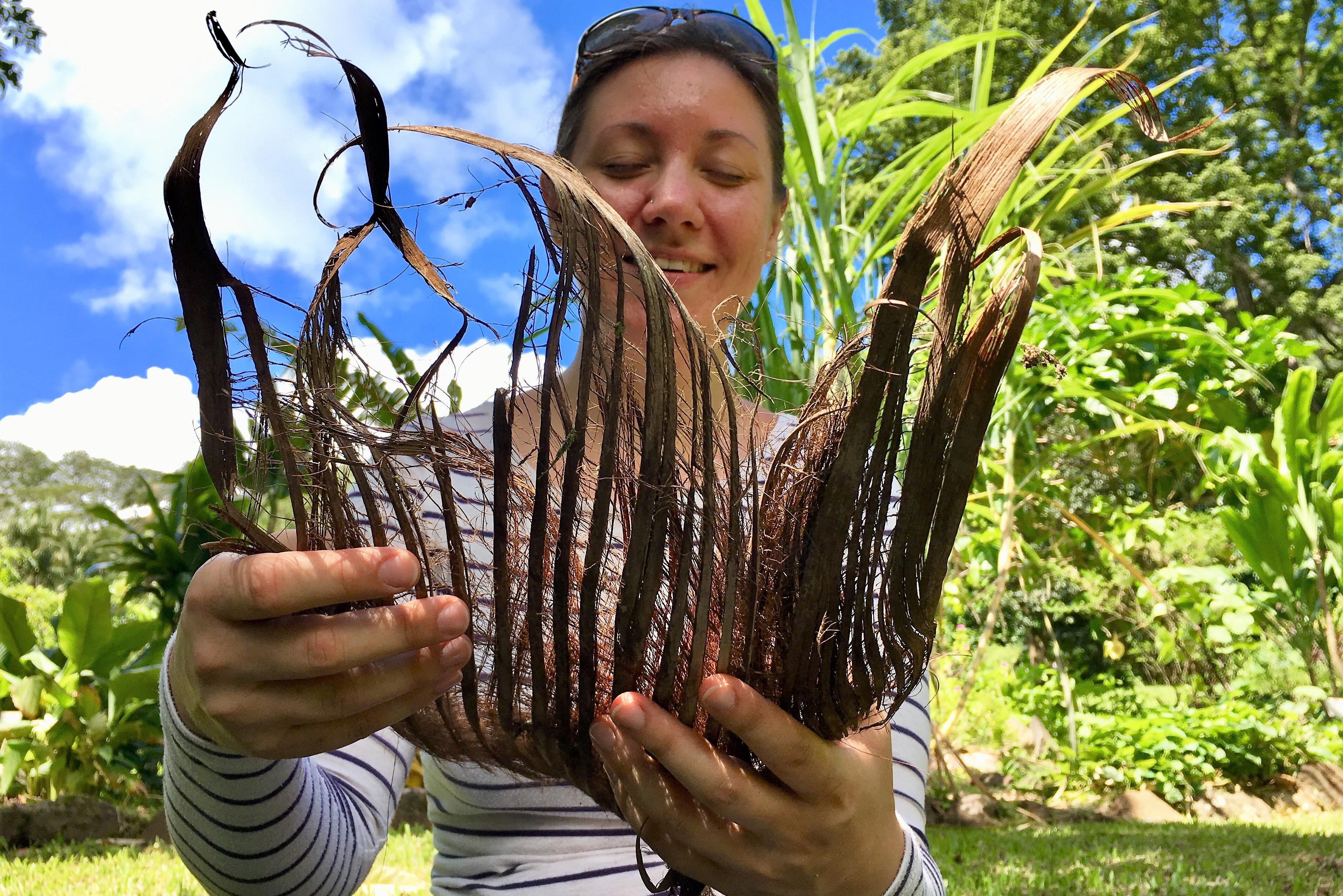 Forest Bathing Hawai'i