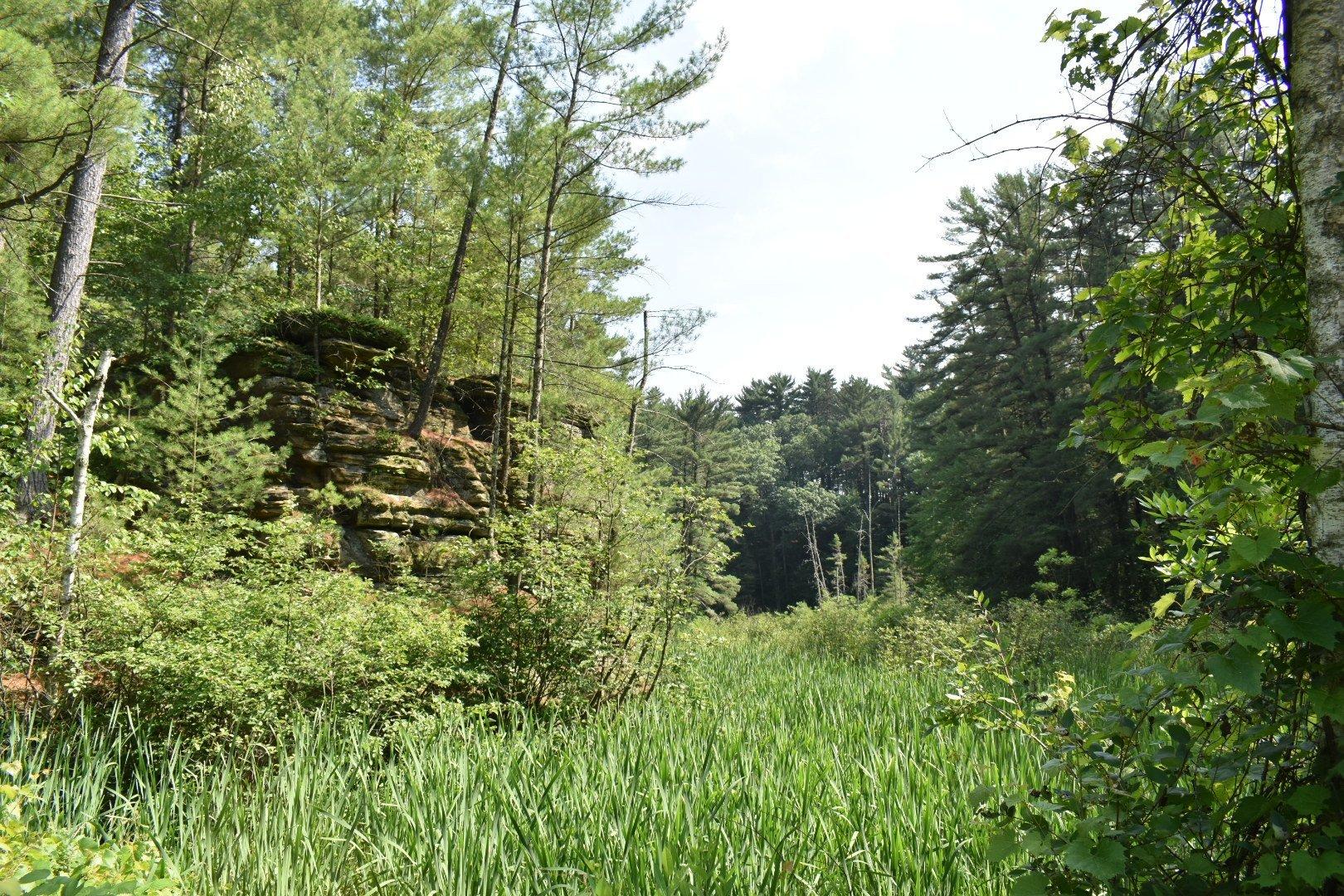 Rocky Arbor State Park