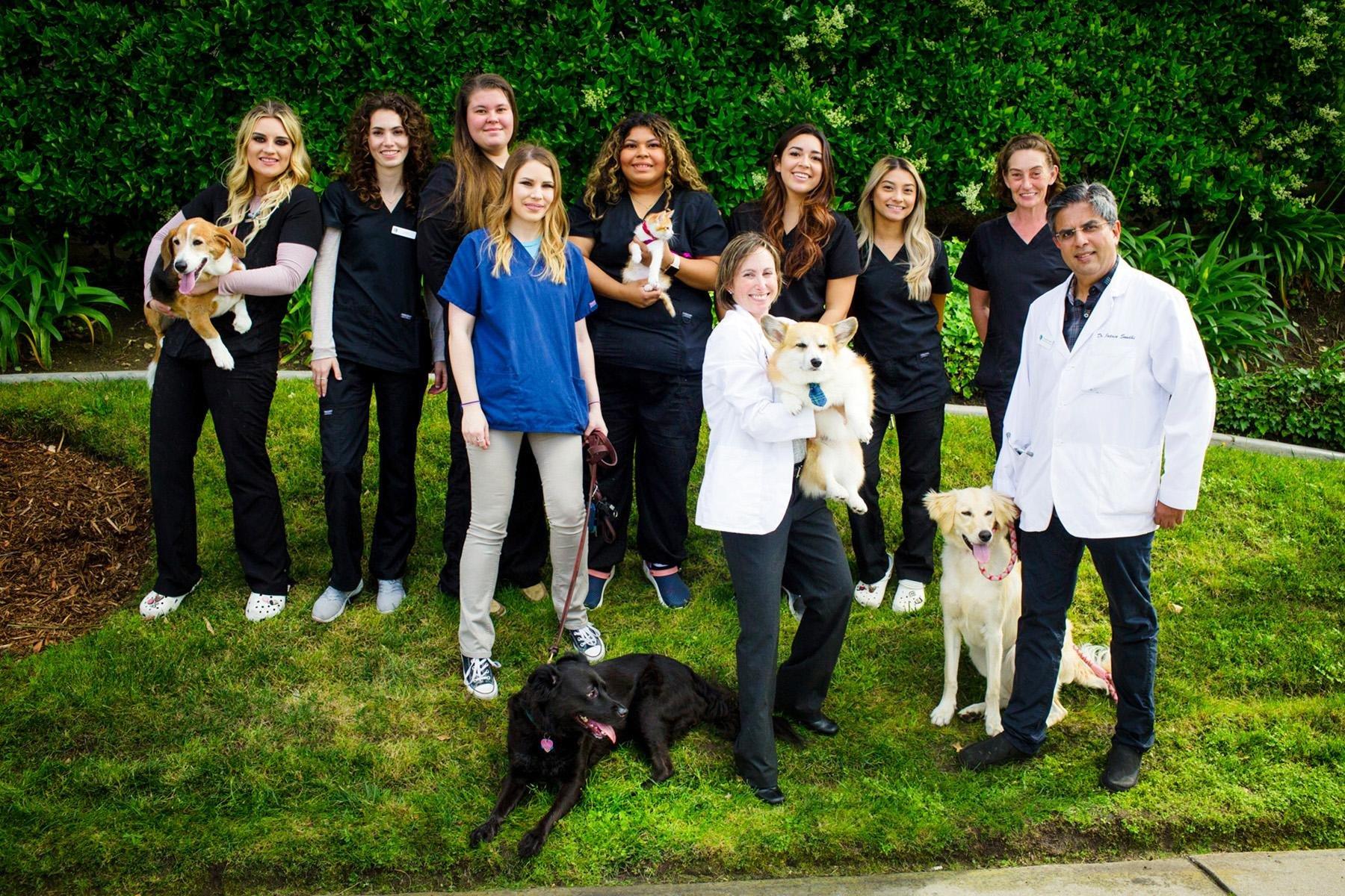 Rancho Bernardo Pet Hospital