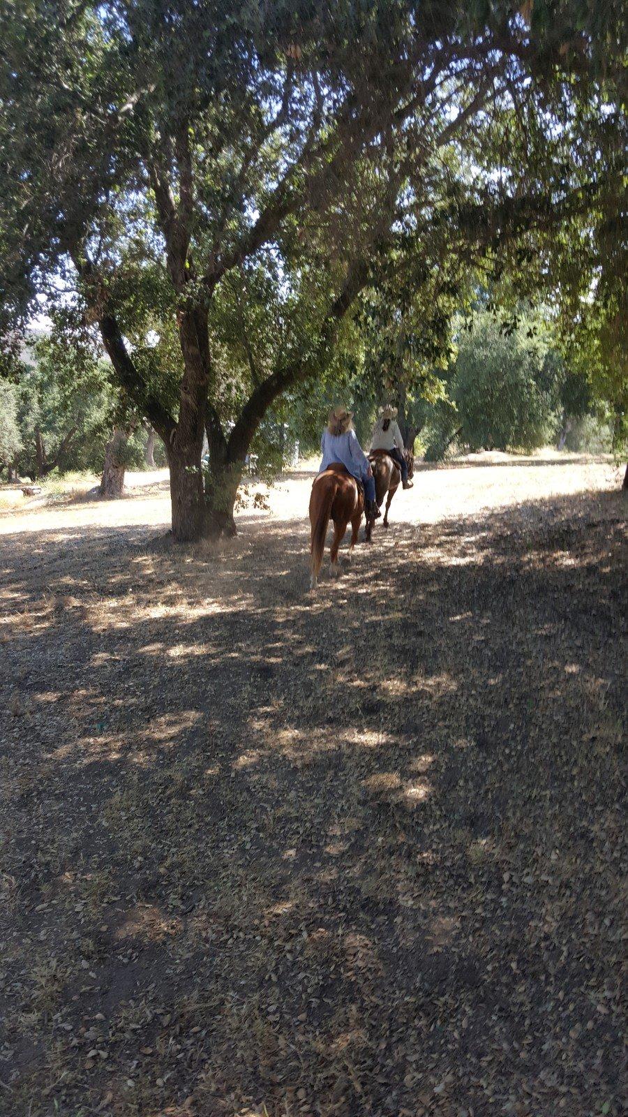 Adventures On Horseback