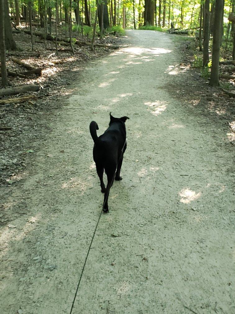 Lorain County Metro Parks