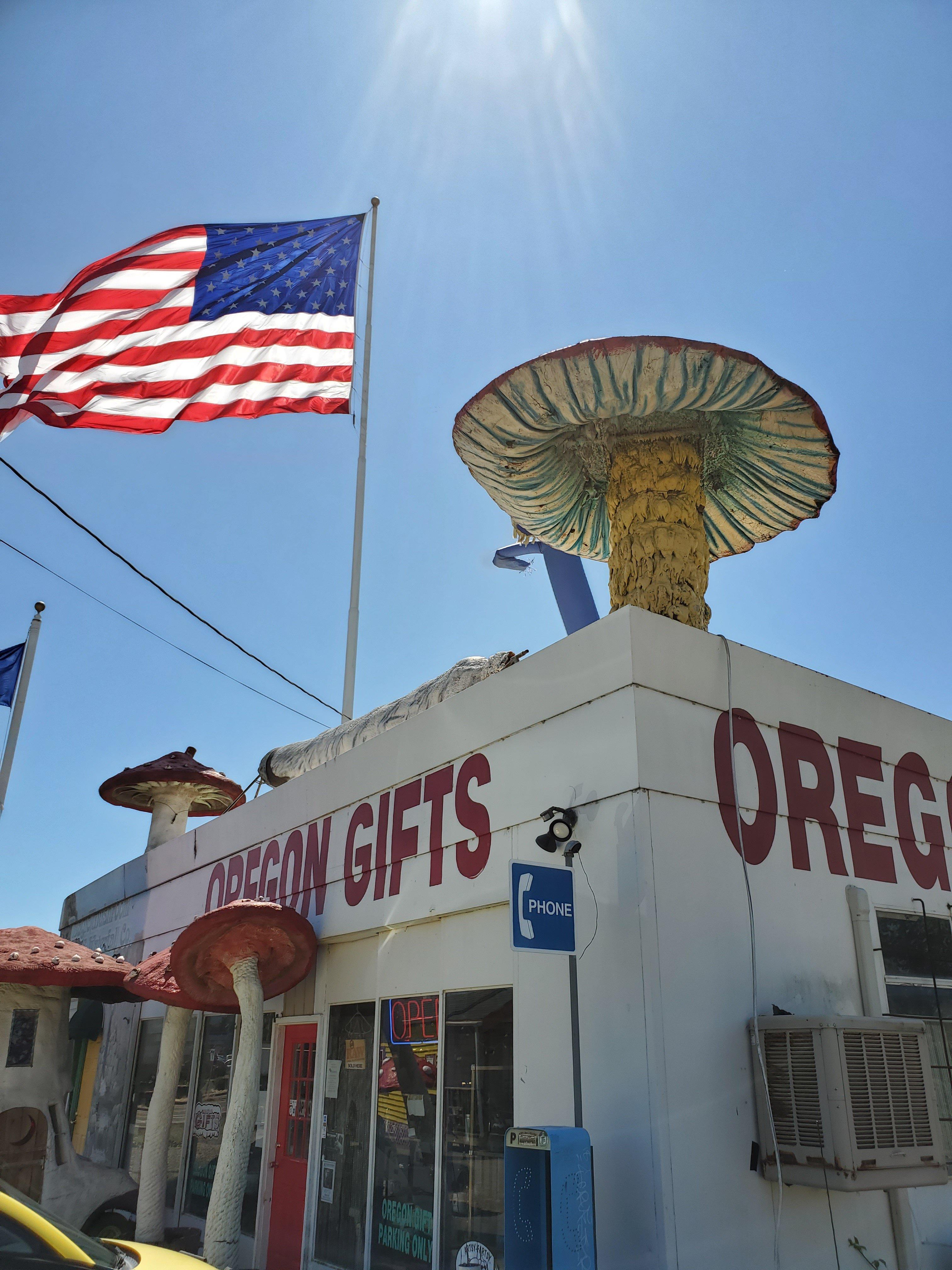 Magic Mushroom/Oregon Gifts