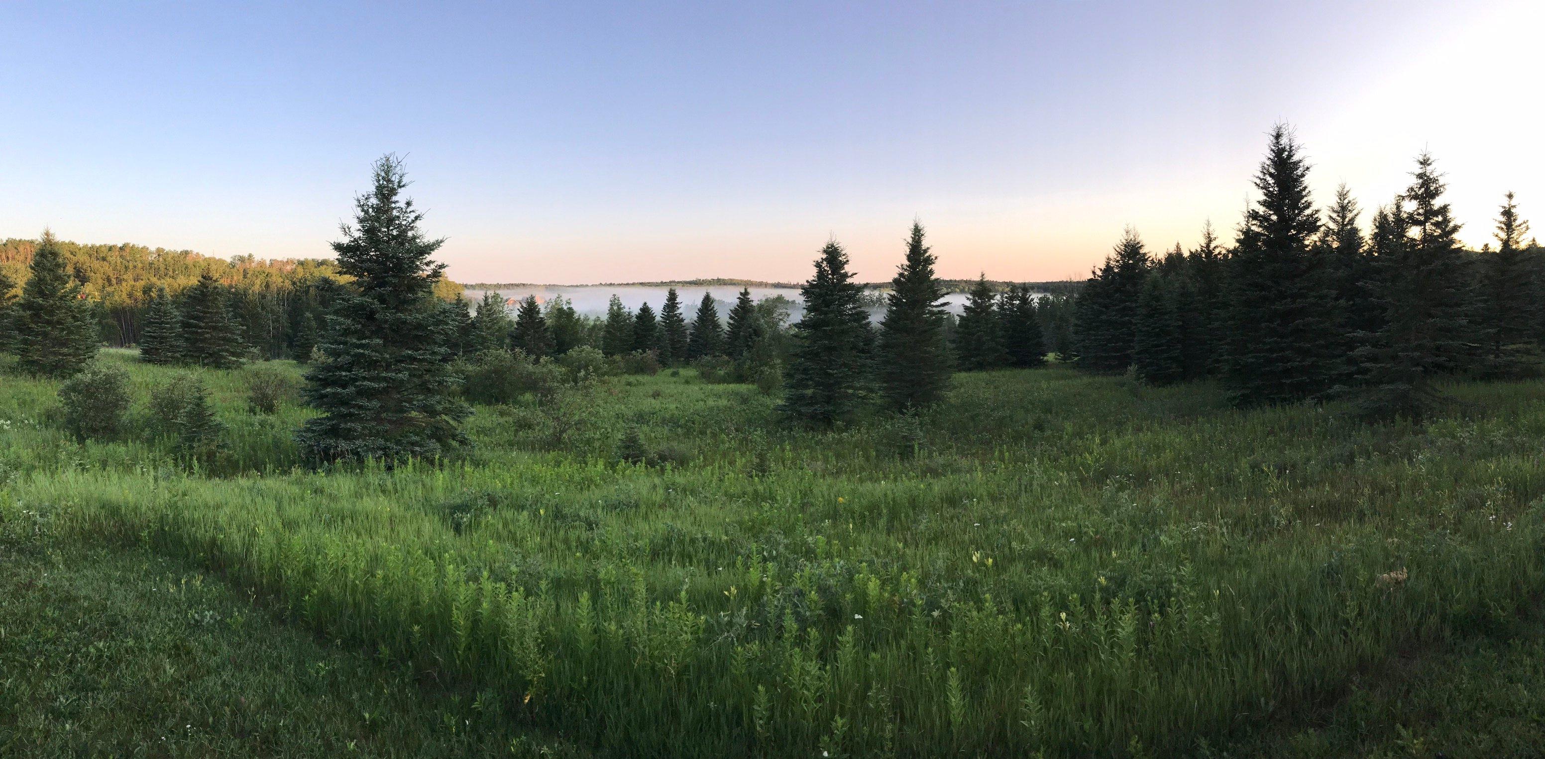 Riding Mountain National Park