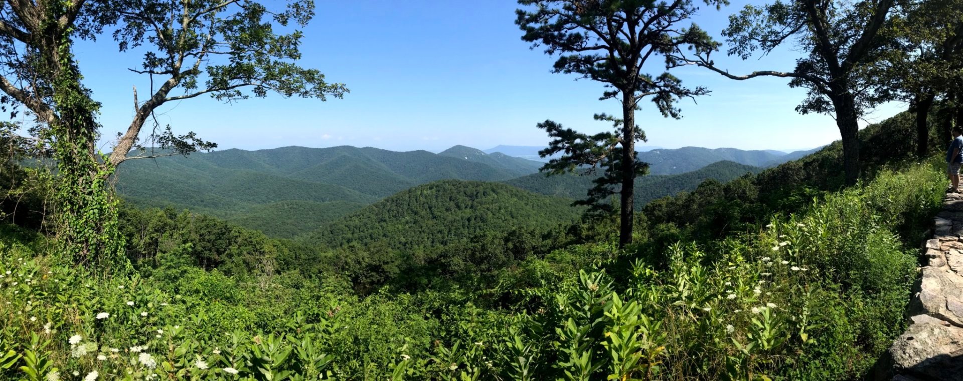 Loft Mountain Campground