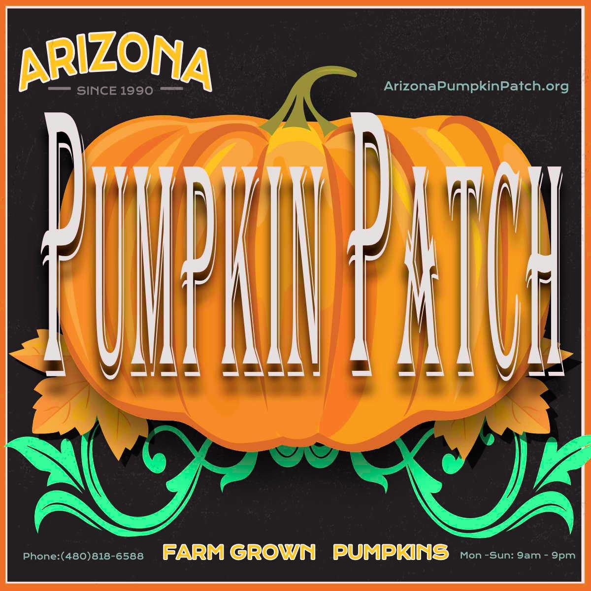 Arizona Pumpkin Patch