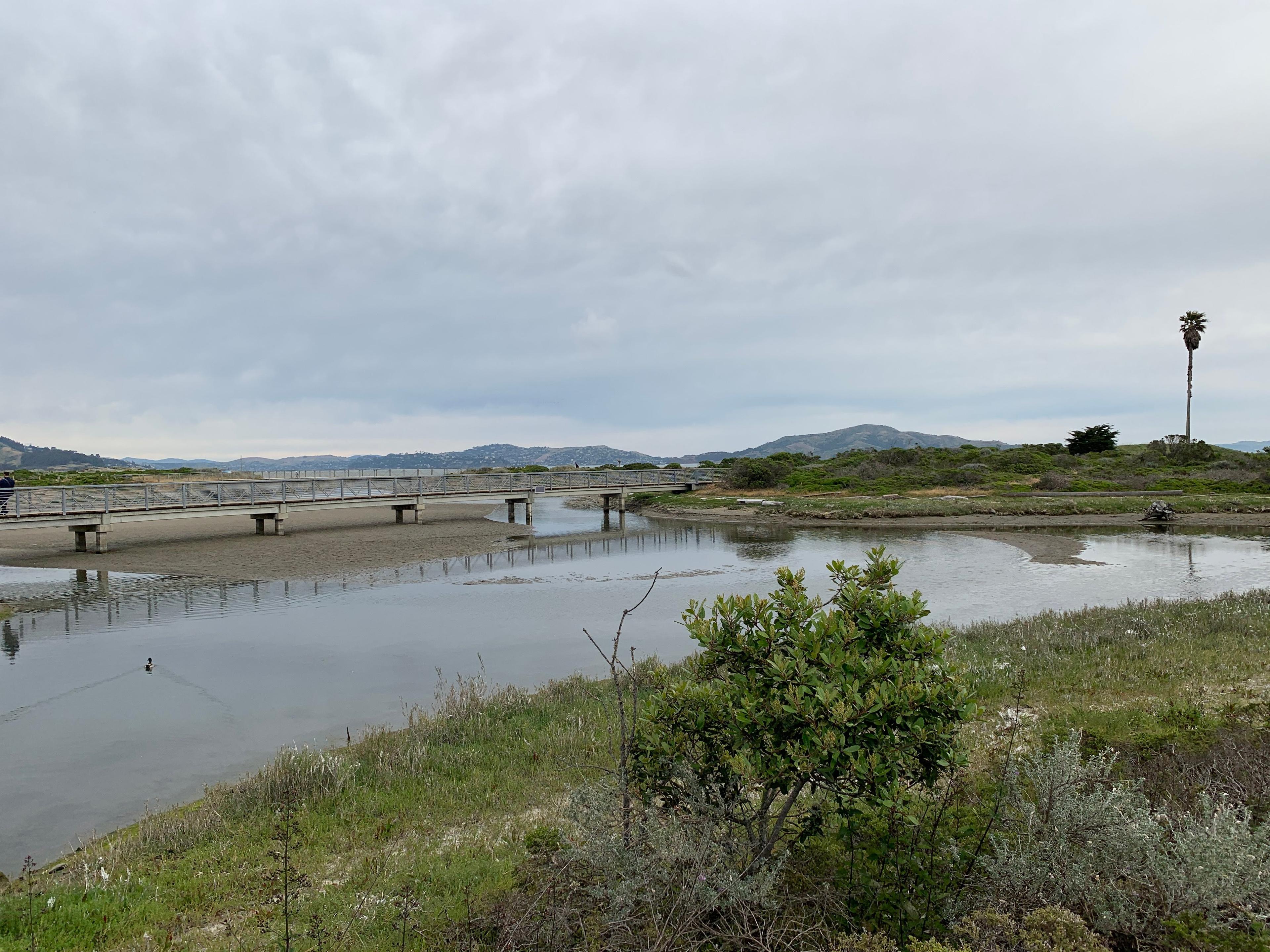 Crissy Field Marsh