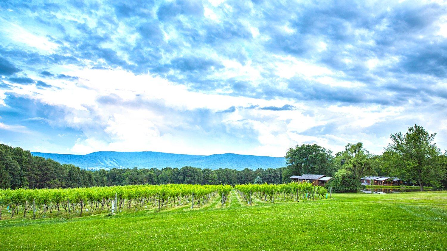 Mount Nittany Vineyard & Winery