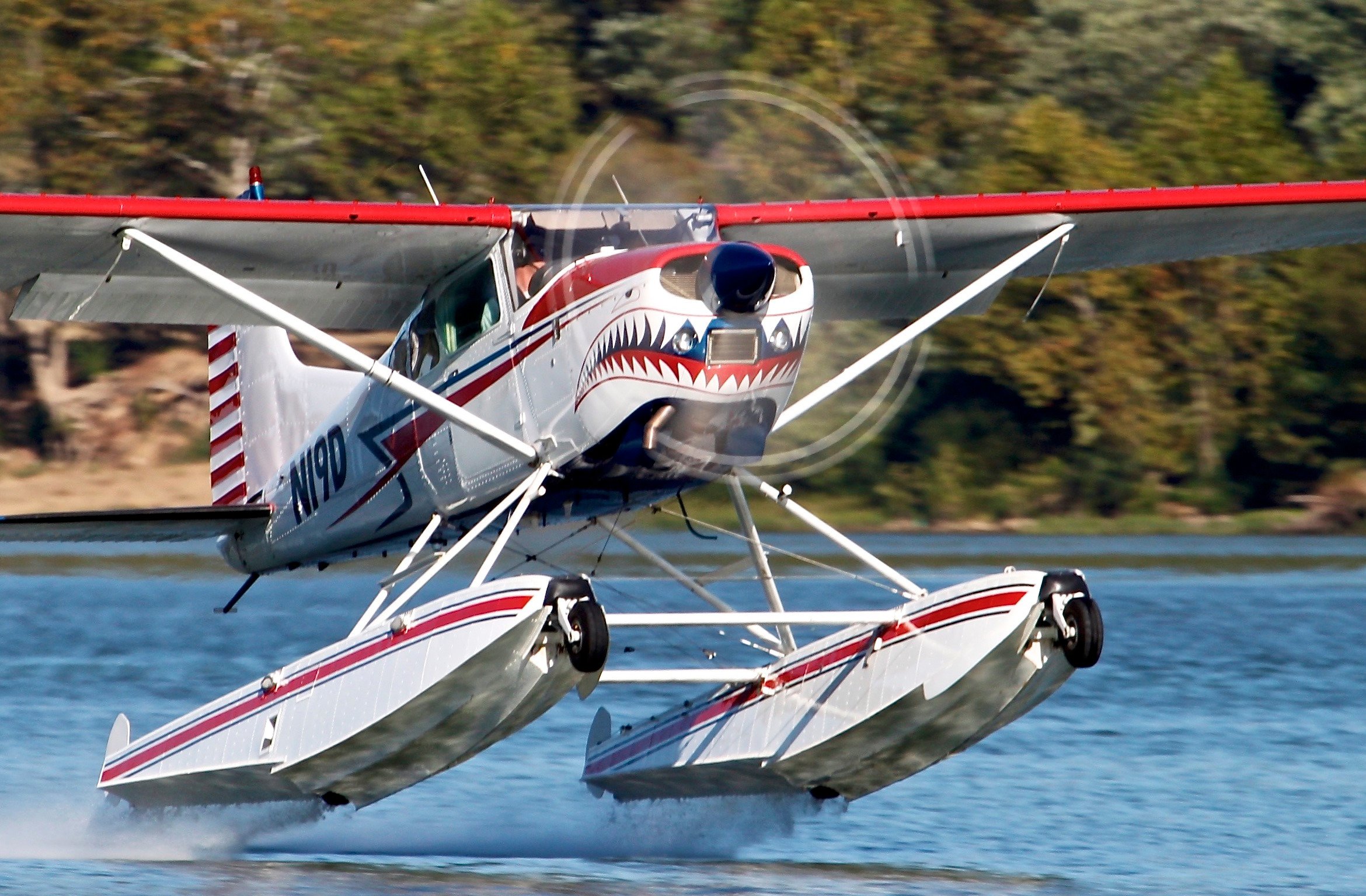 Shark Aviation