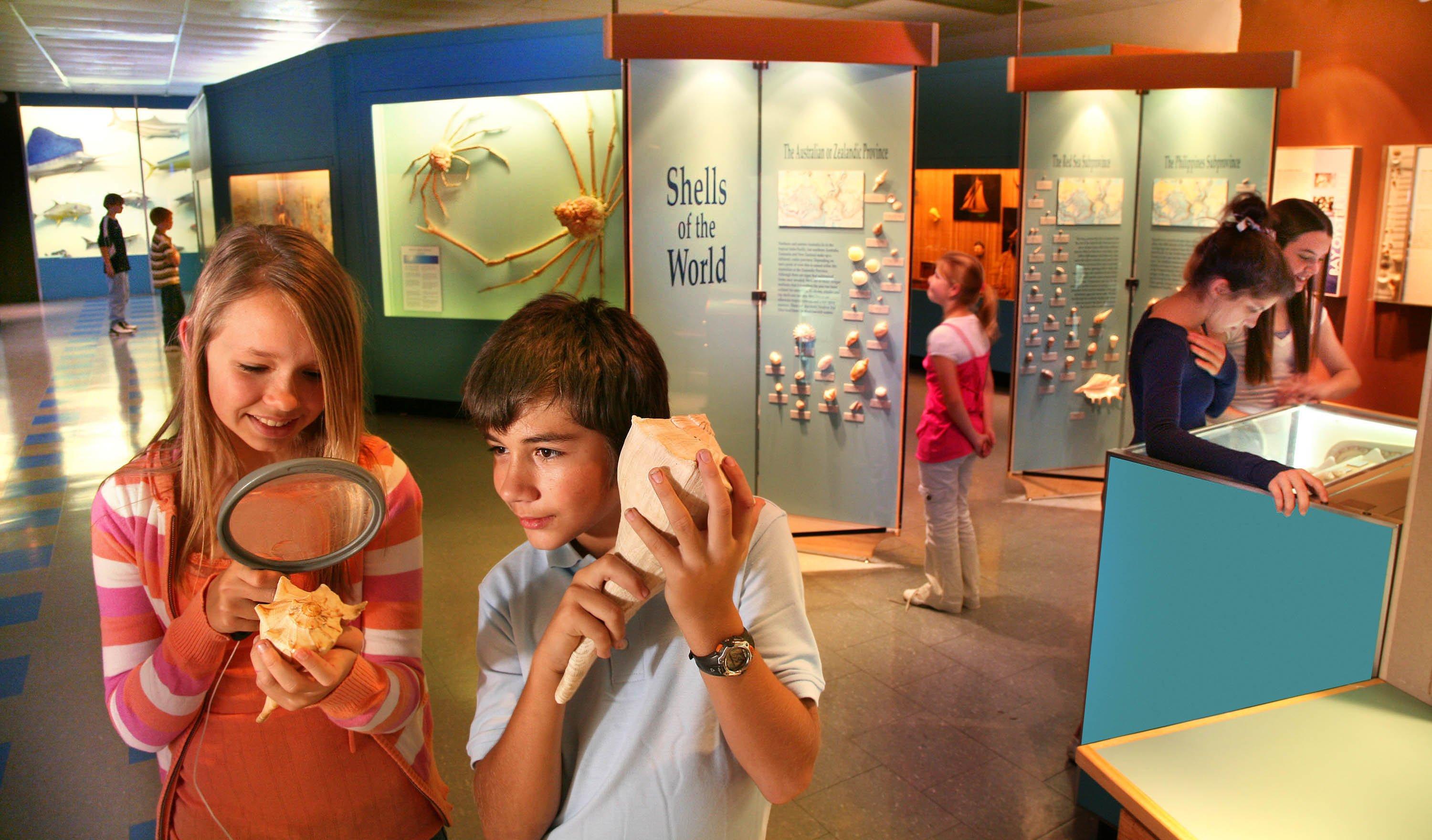 Corpus Christi Museum of Science and History