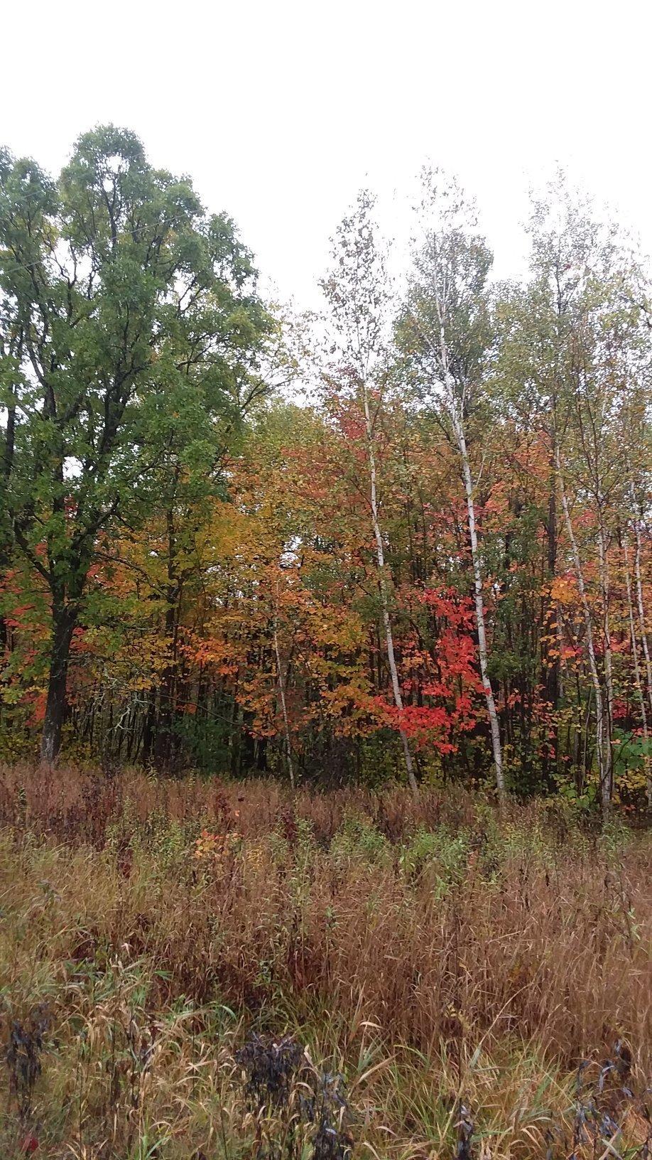 Countryside Campground