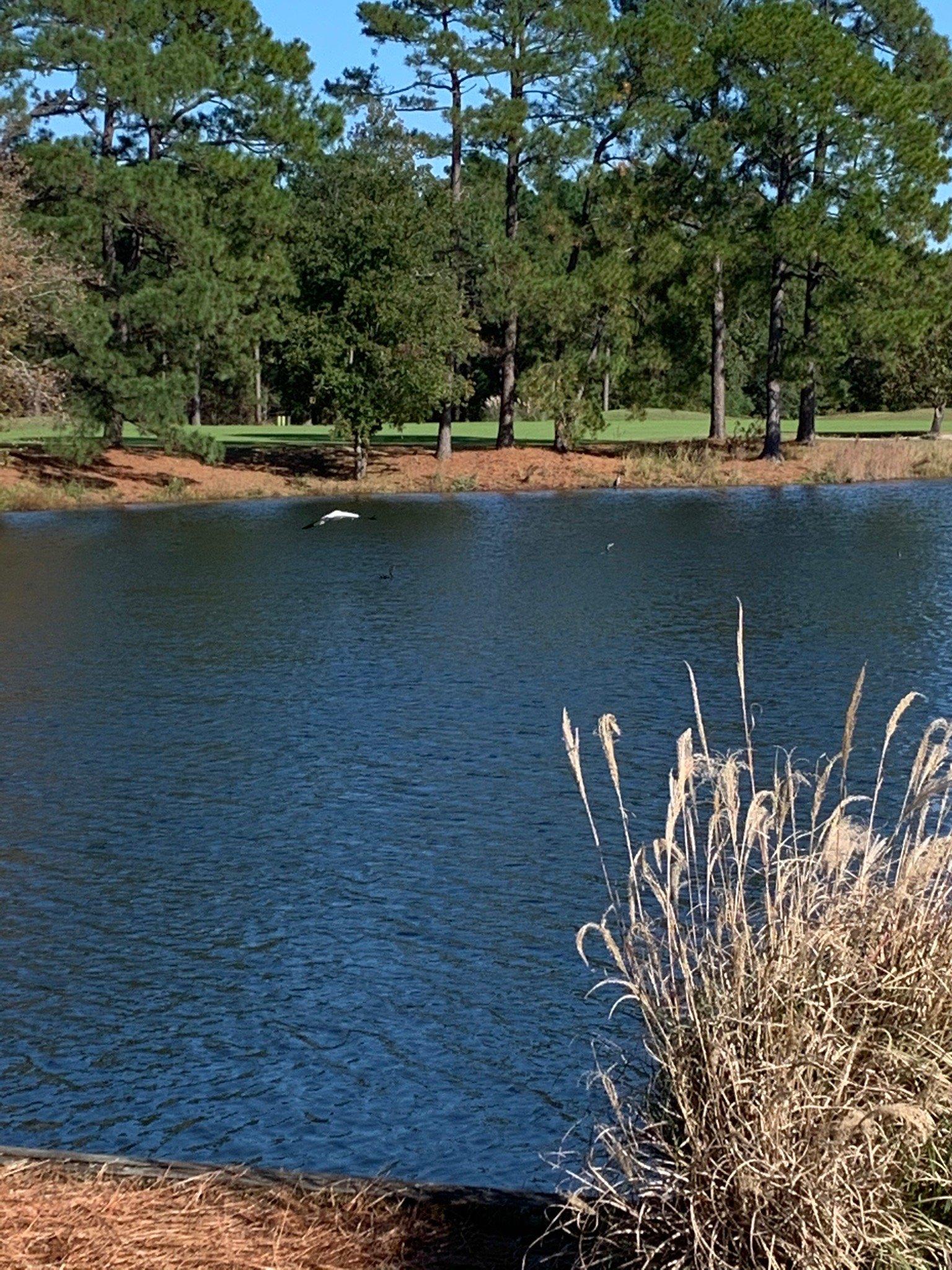 Myrtle Beach National