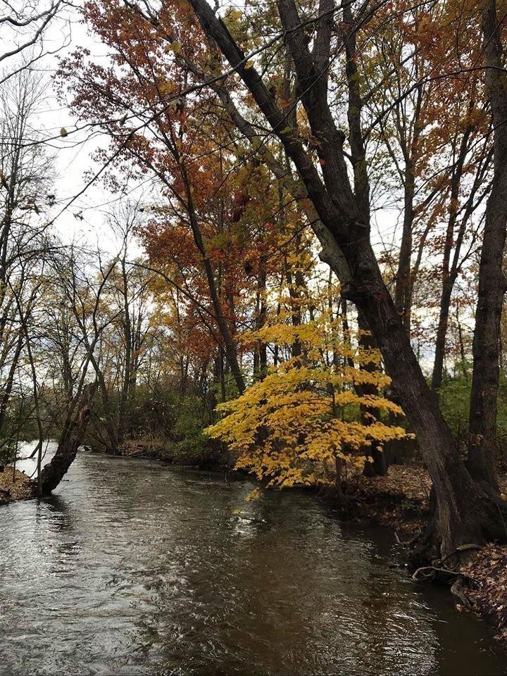 Dinosaur Hill Nature Preserve