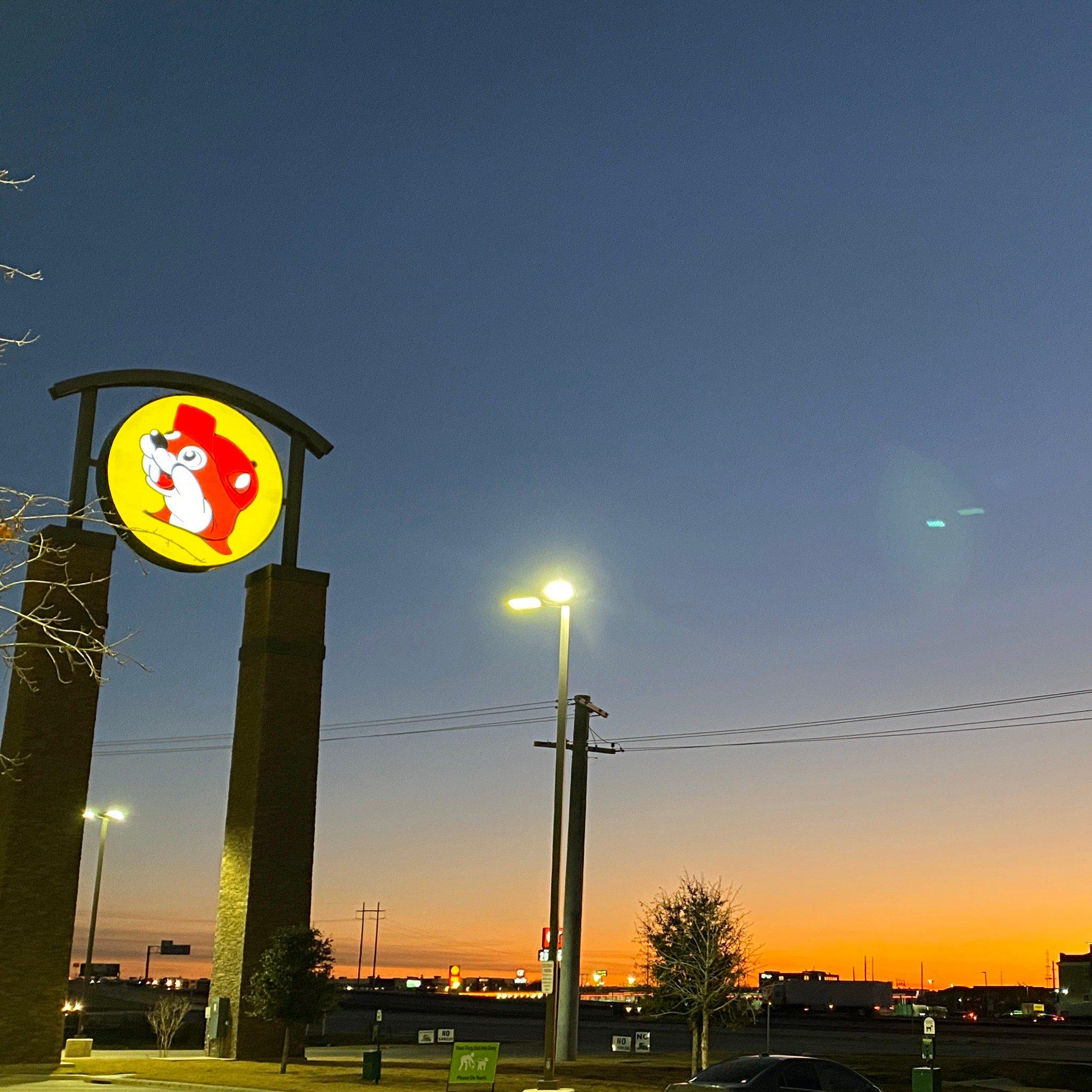 BUC-EES 37