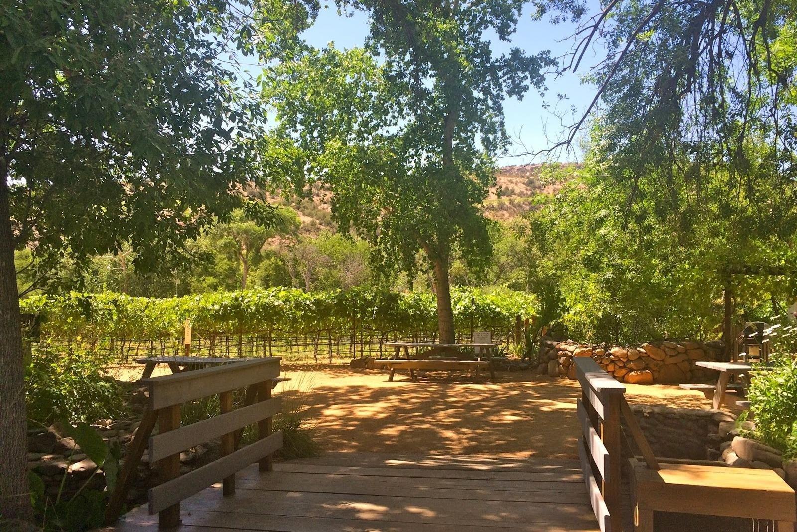 Sedona Vineyard Tours