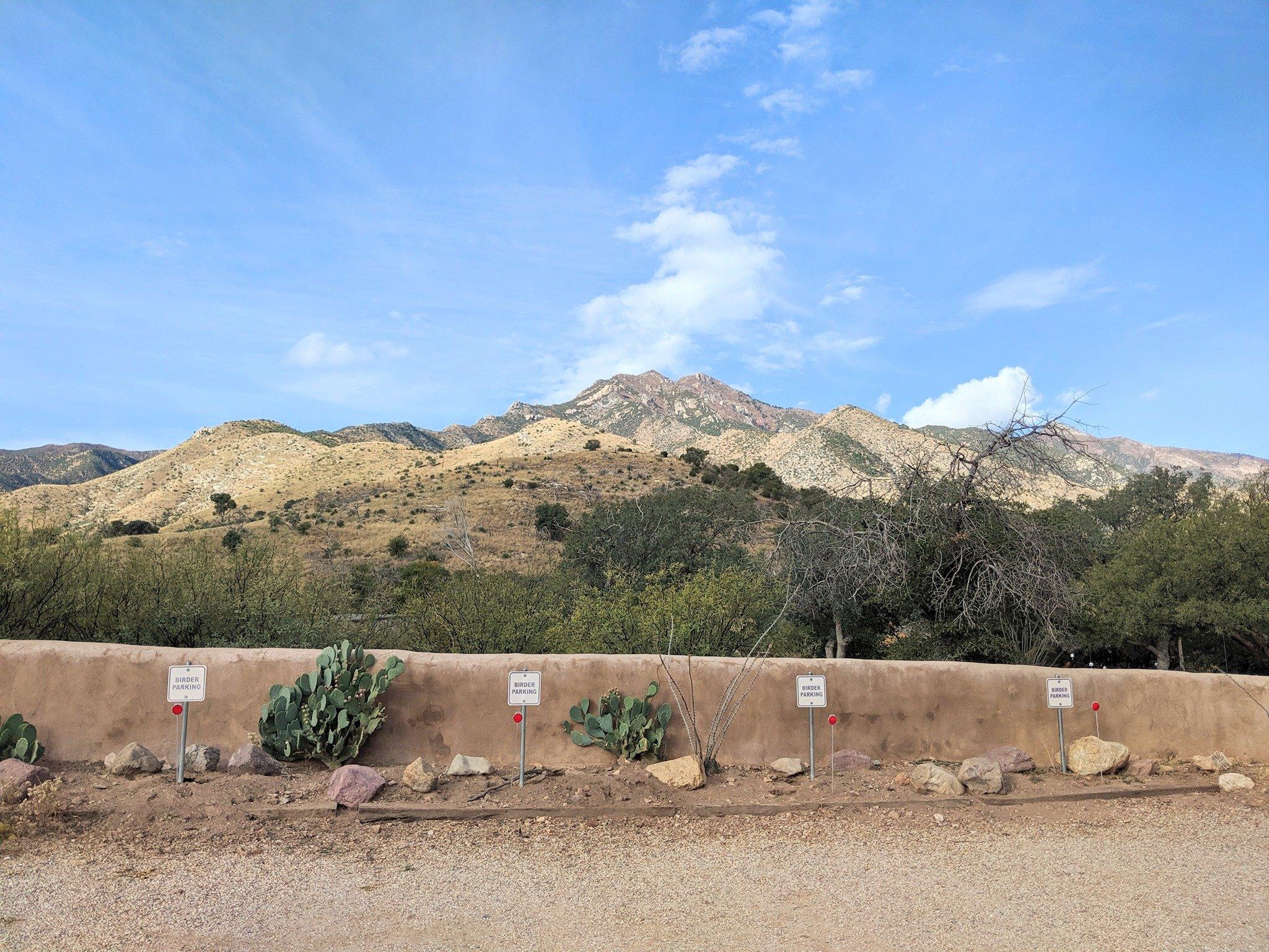 Ash Canyon Bird Sanctuary