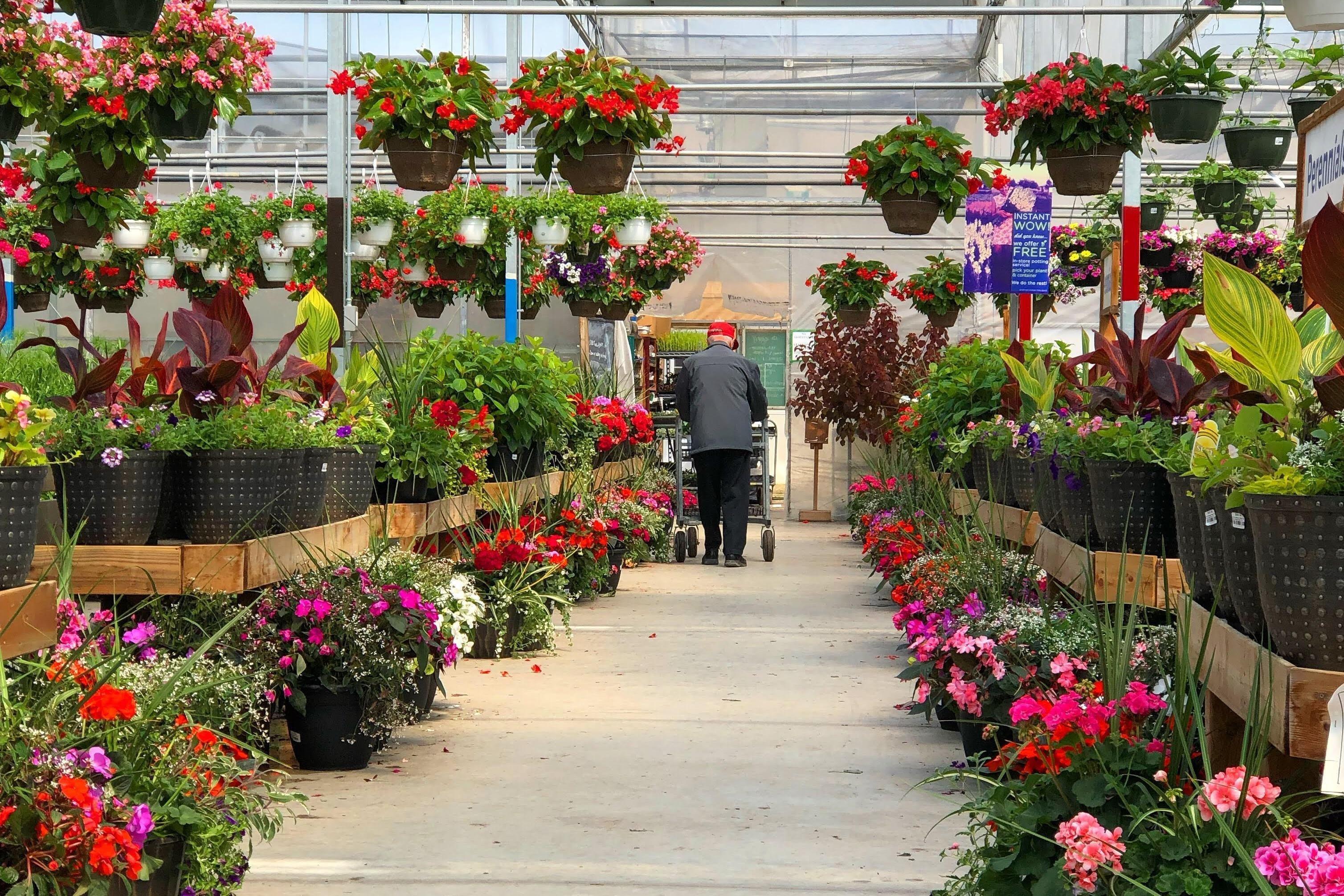 Parkway Garden Centre