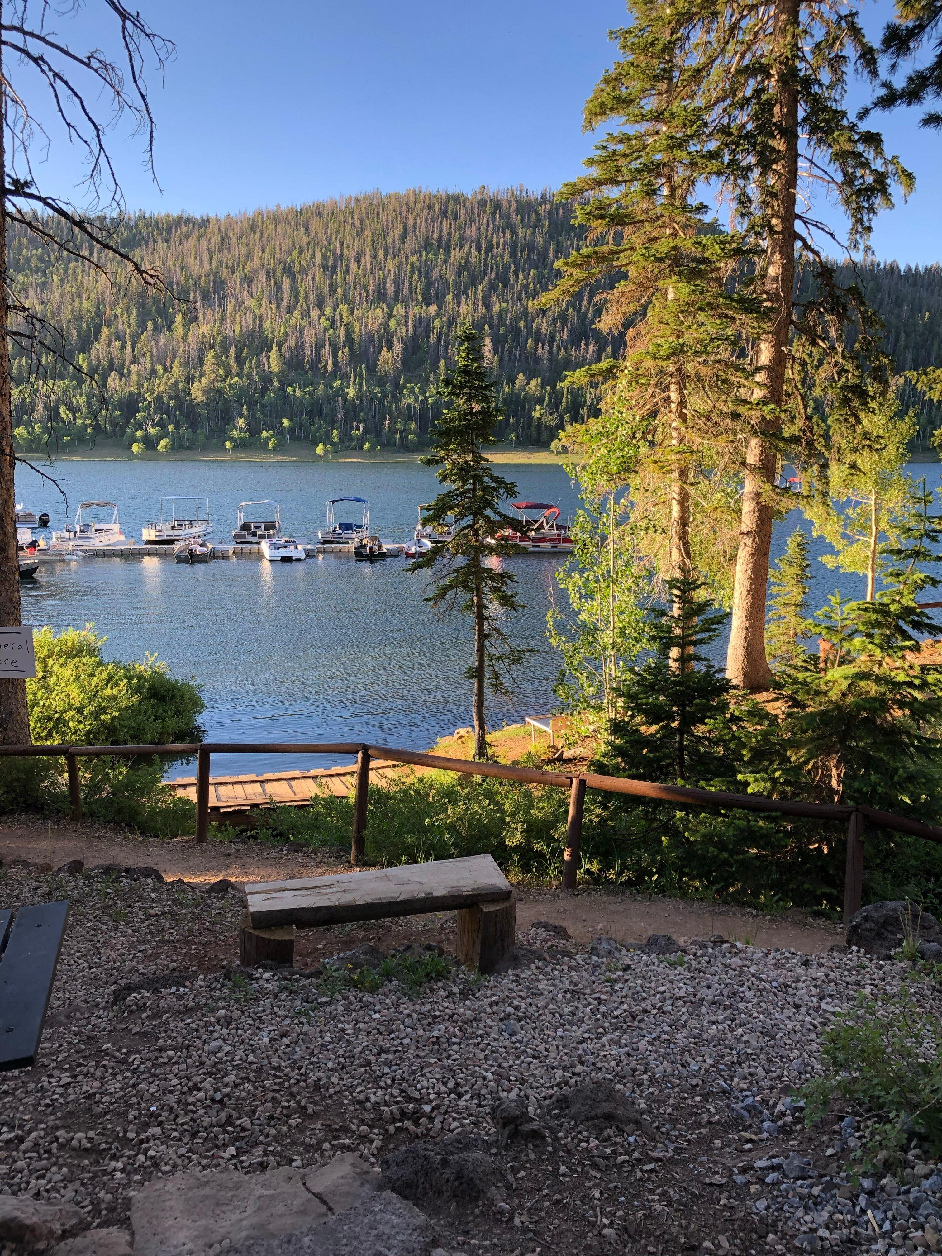 Navajo Lake Lodge