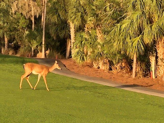 Forest Glen Golf & Country Club