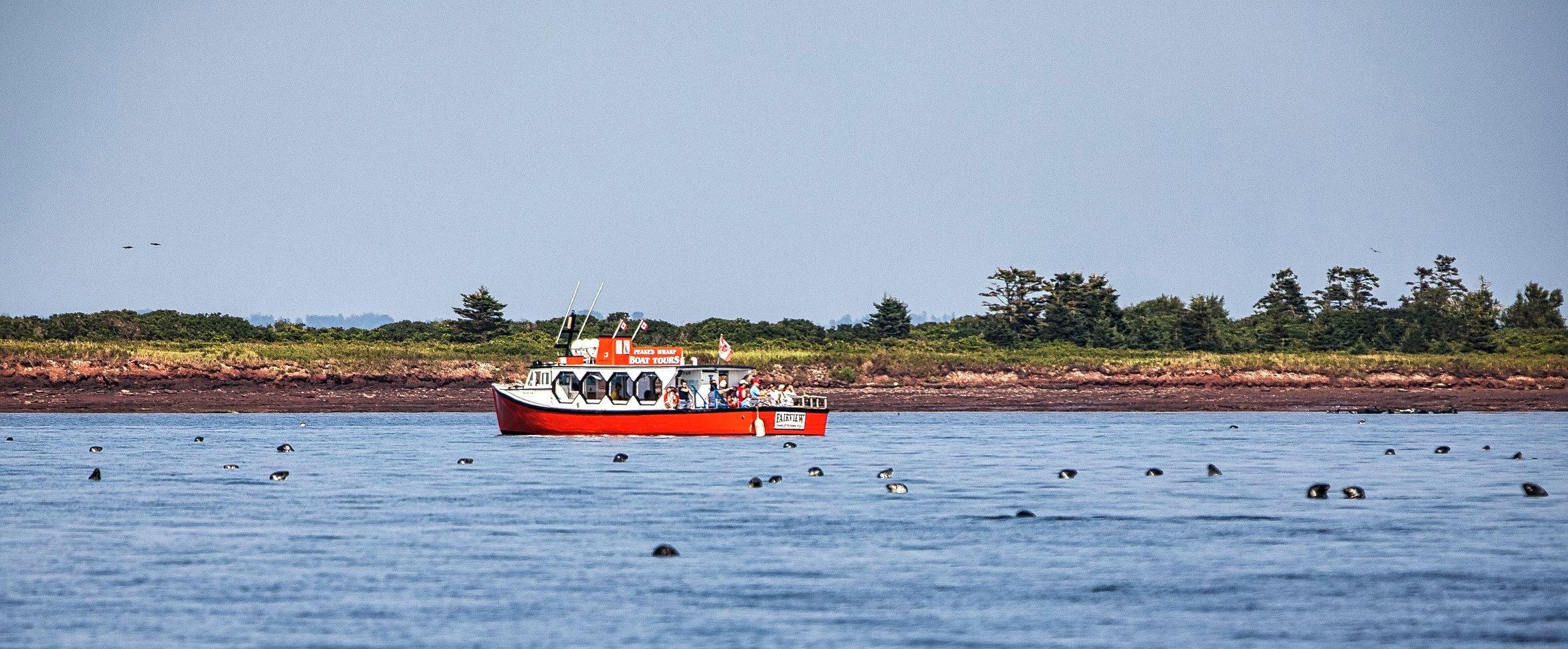 Peake's Wharf Boat Tours