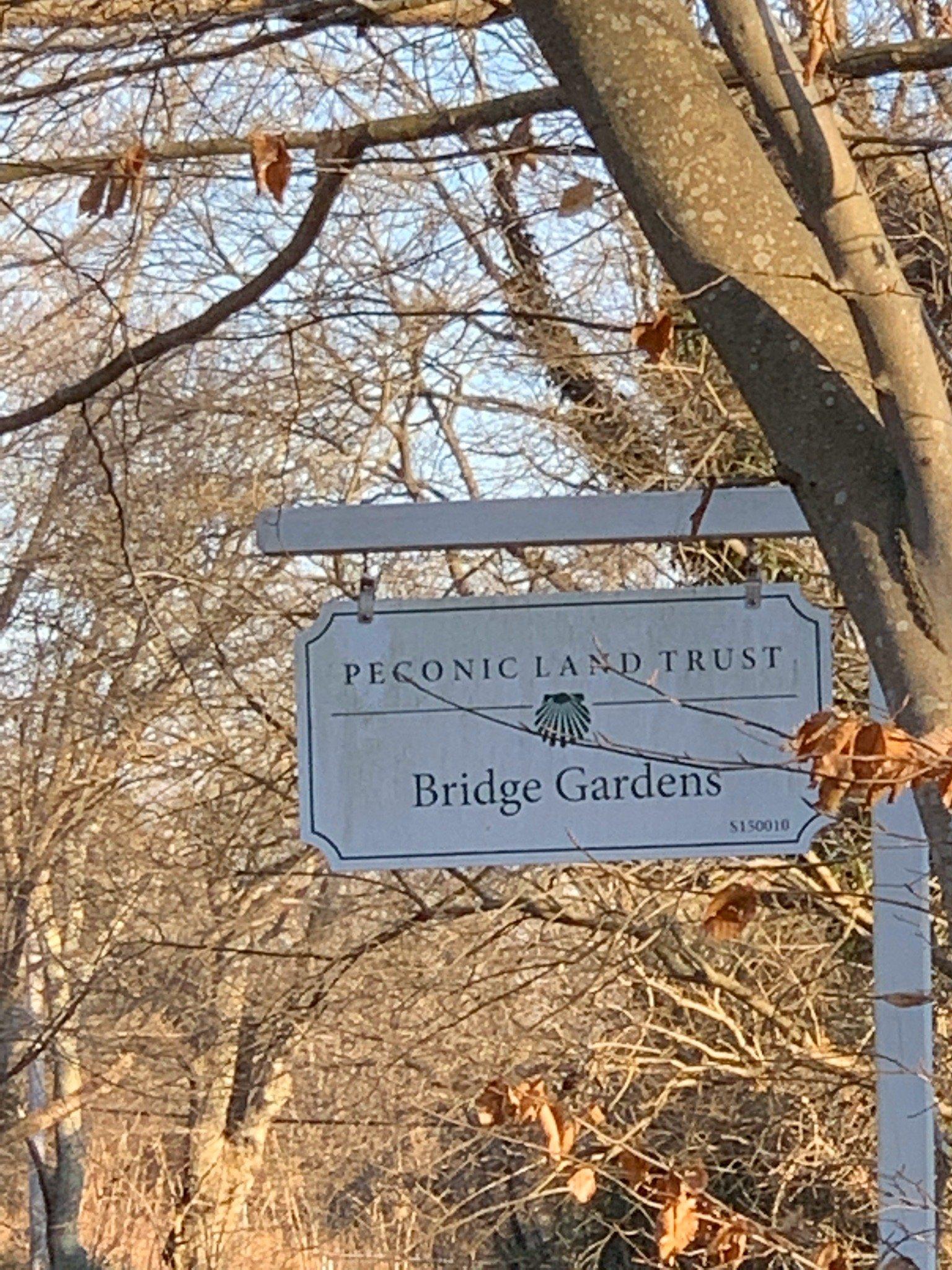 Bridge Gardens