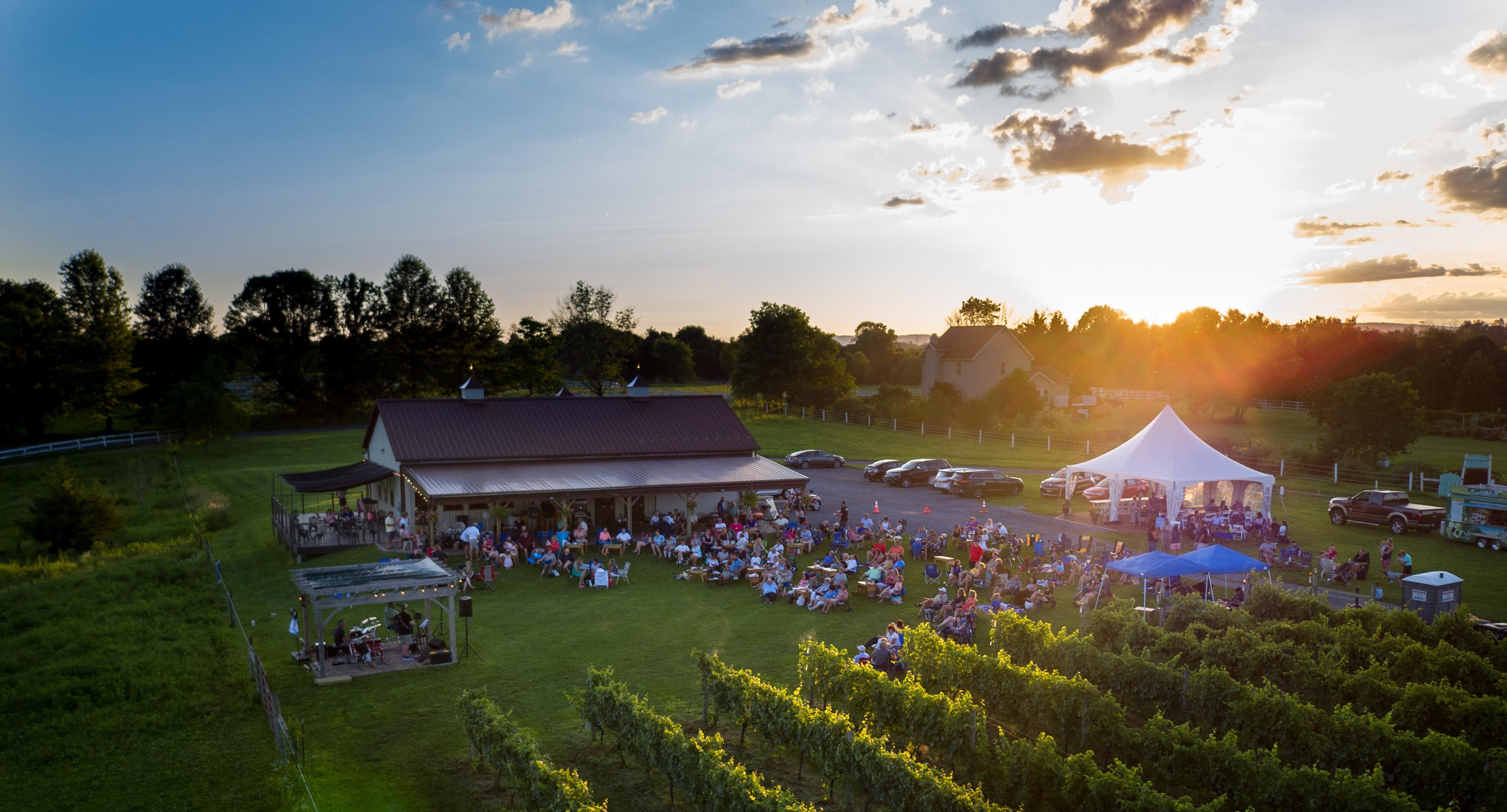 Cassel Vineyards of Hershey