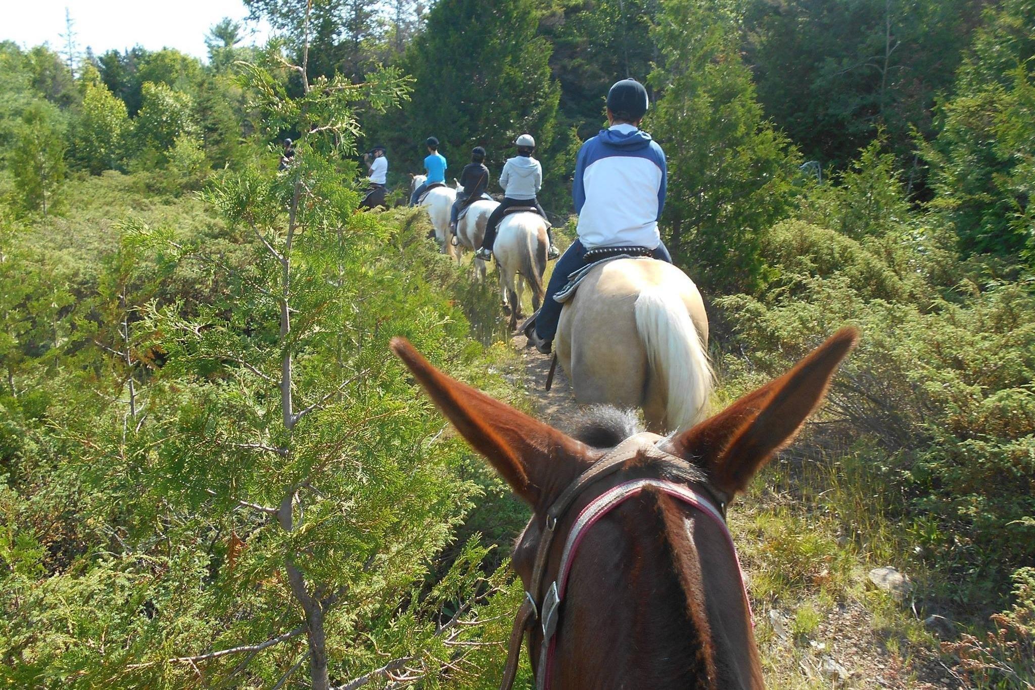 Kicking Mule Riding Stables & Cookhouse