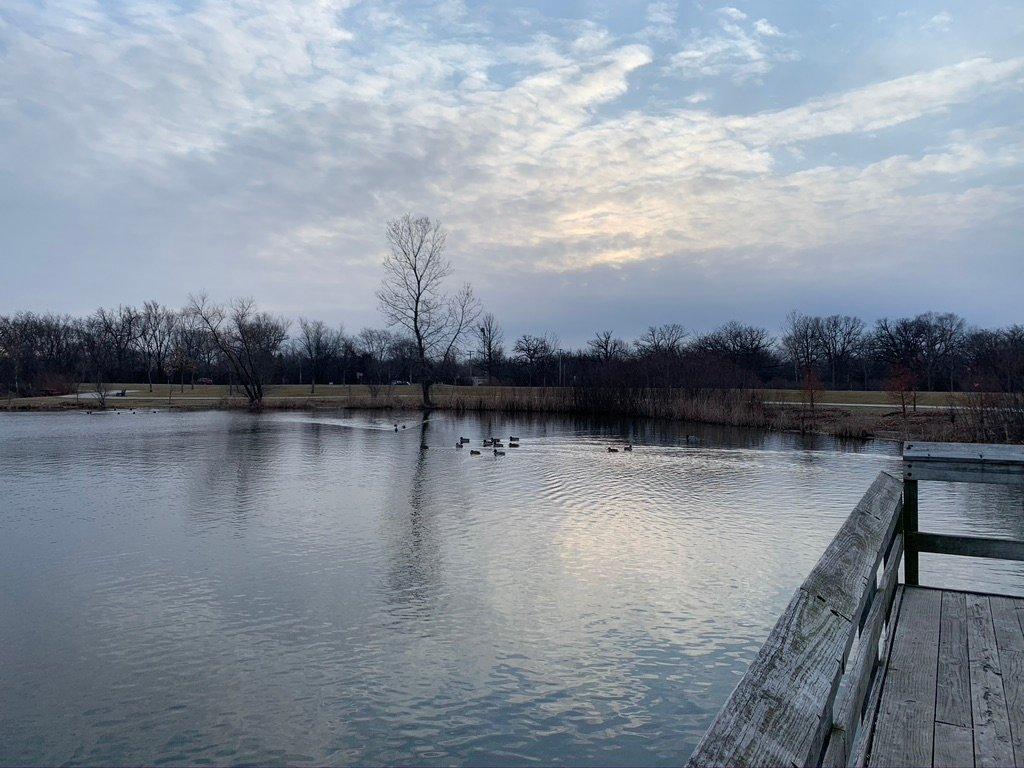 Wood Dale Grove Forest Preserve