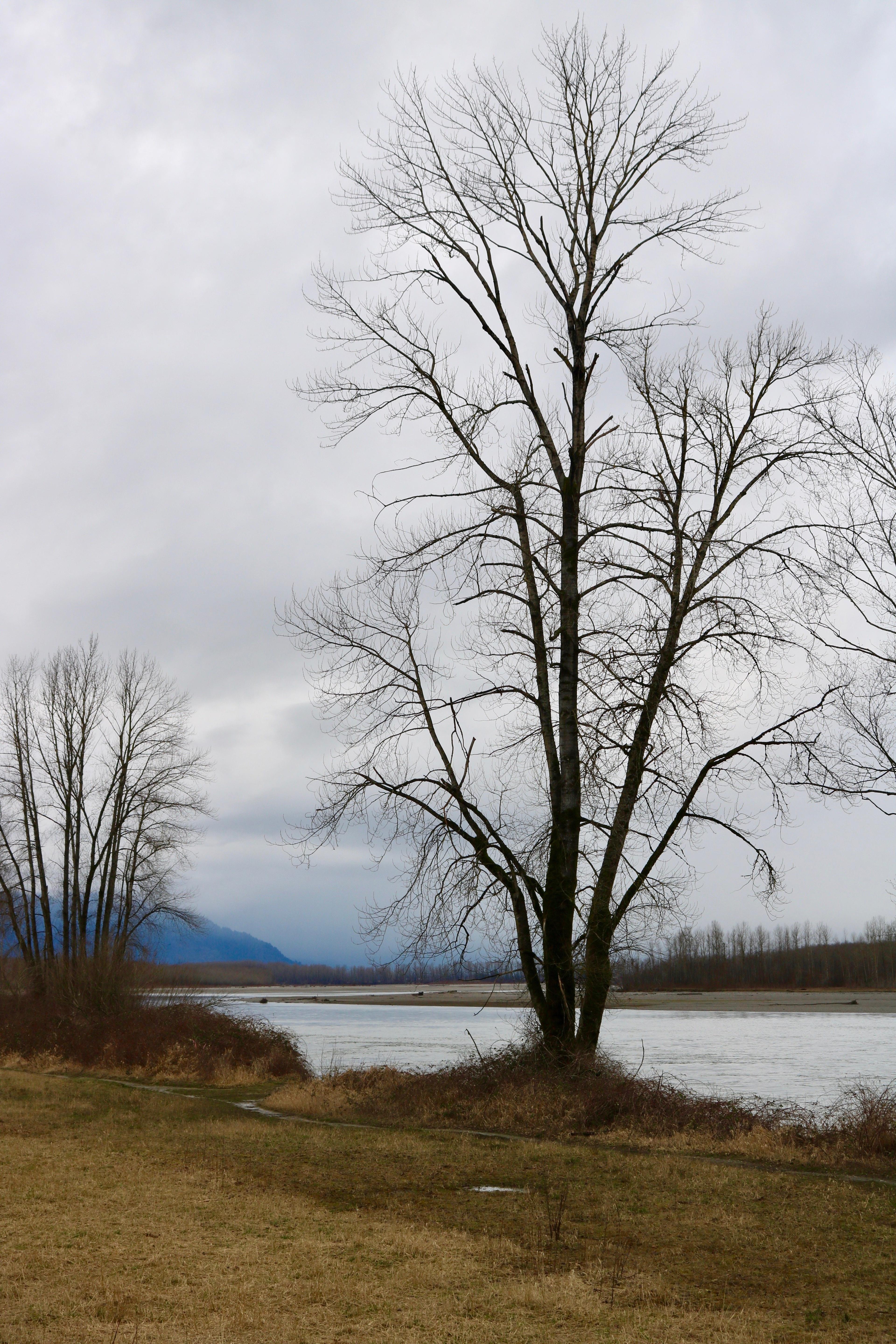 Island 22 Regional Park