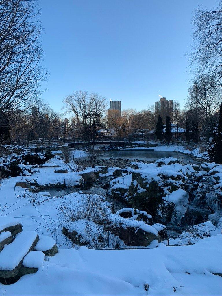 Bridge Over South Pond