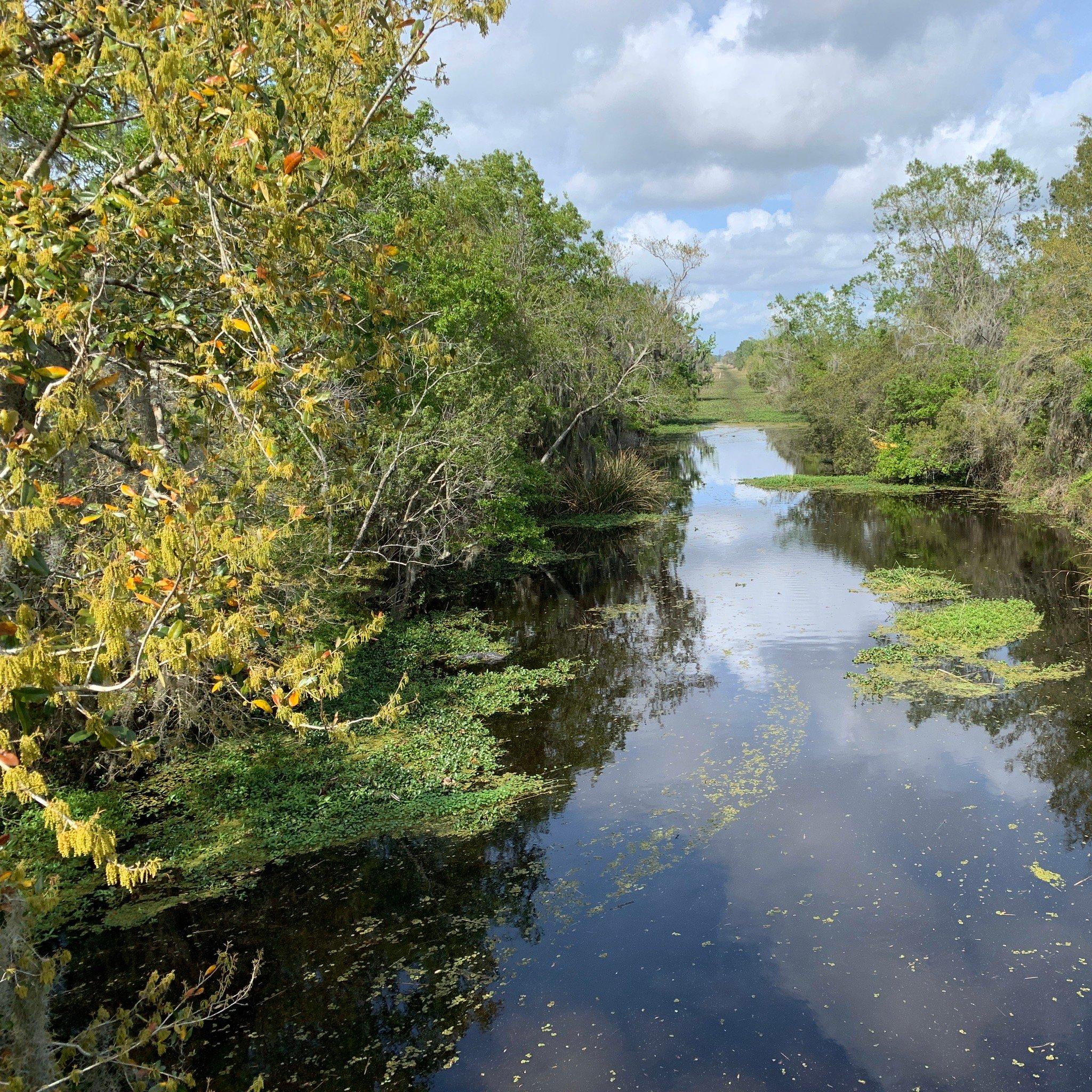 Barataria Preserve