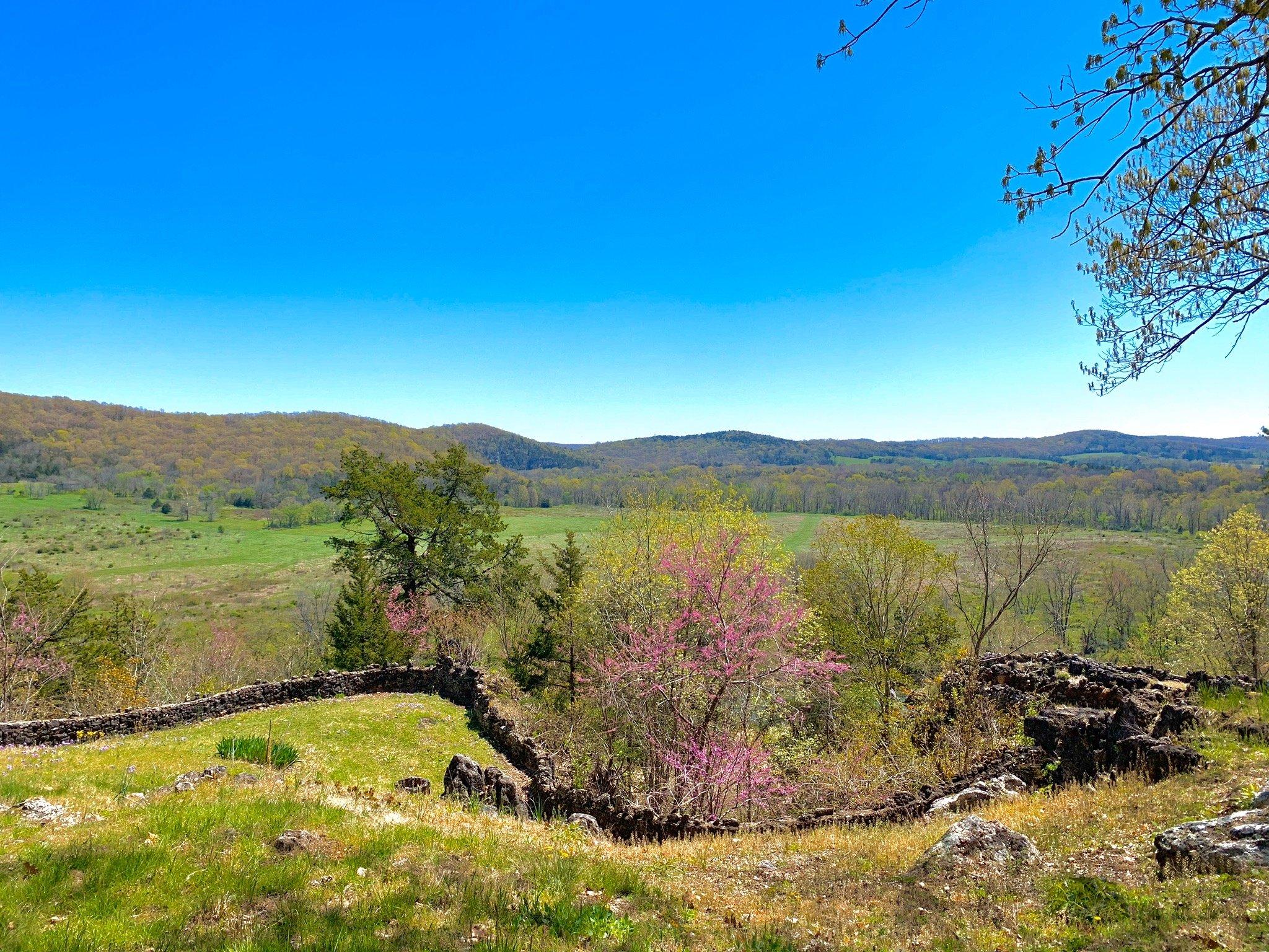 Blue Springs Ranch