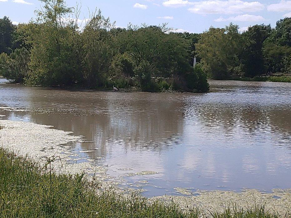 Seabourne creek nature