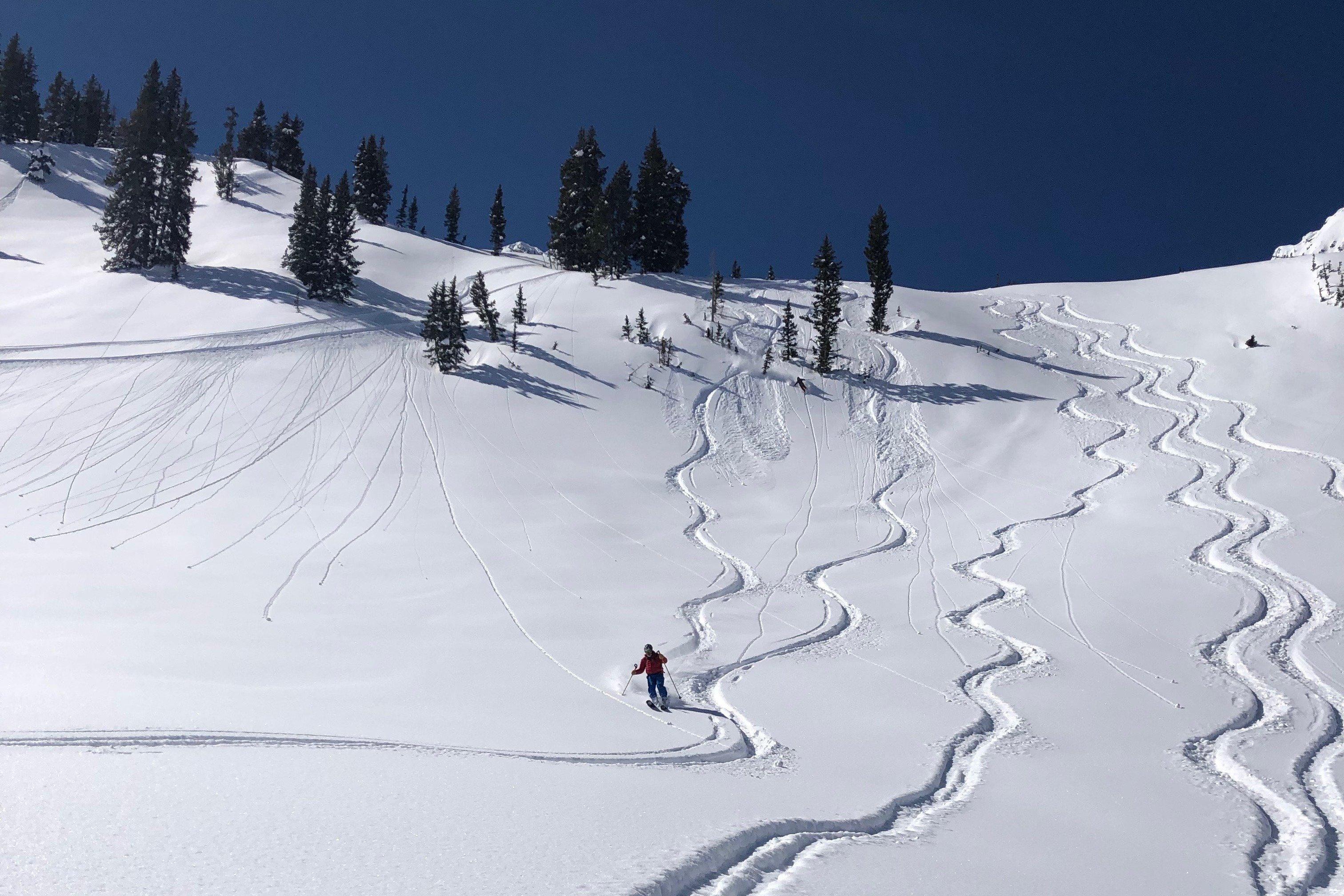 Wasatch Mountain Guides