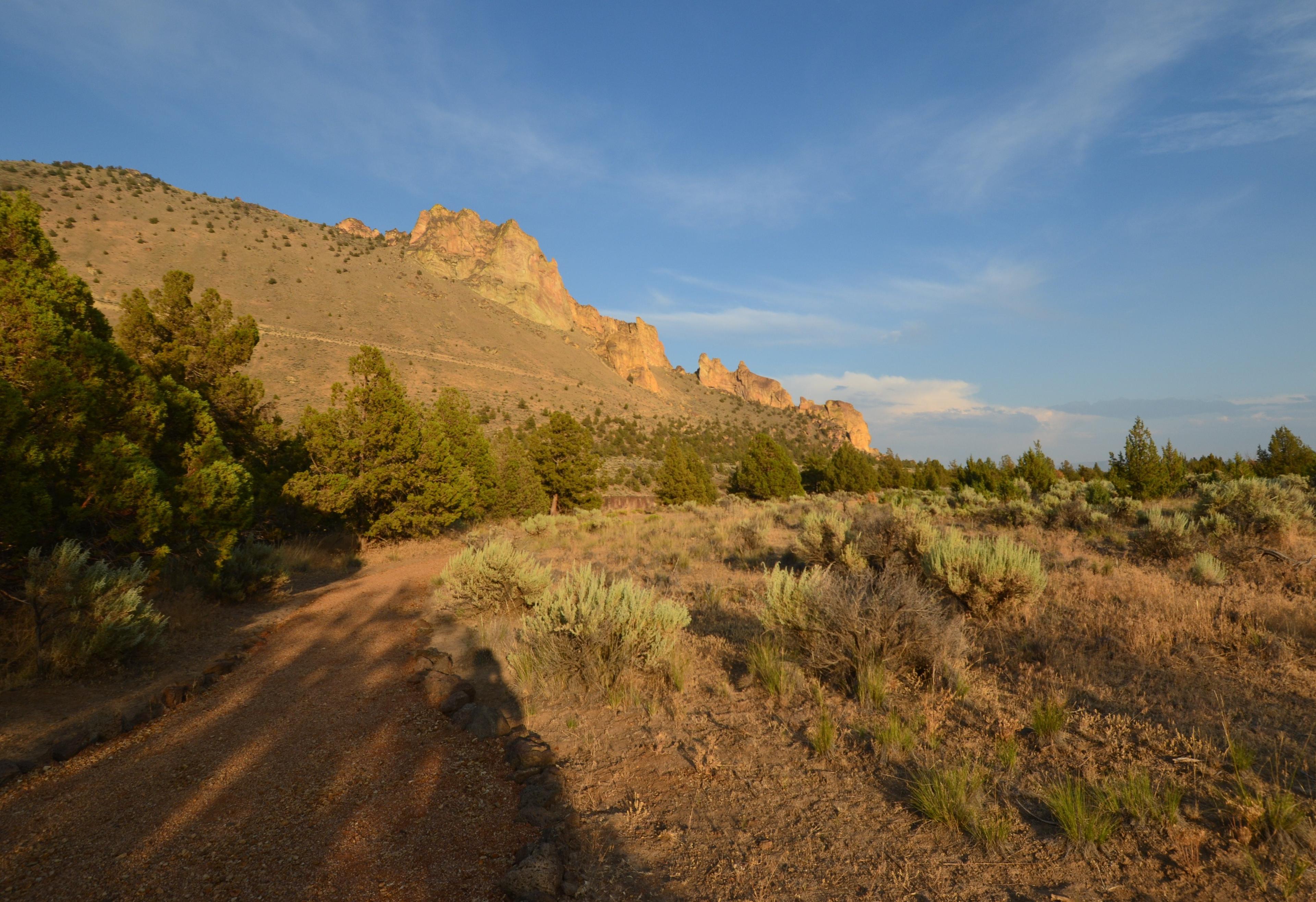 Homestead Trail