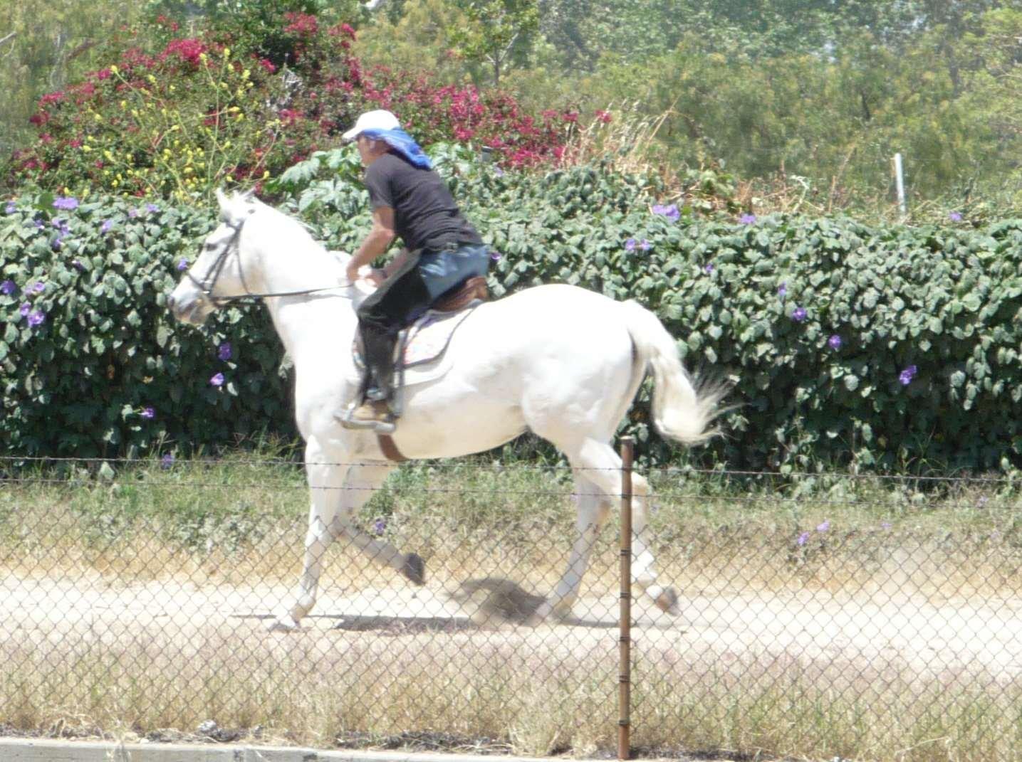 Los Angeles Equestrian Center