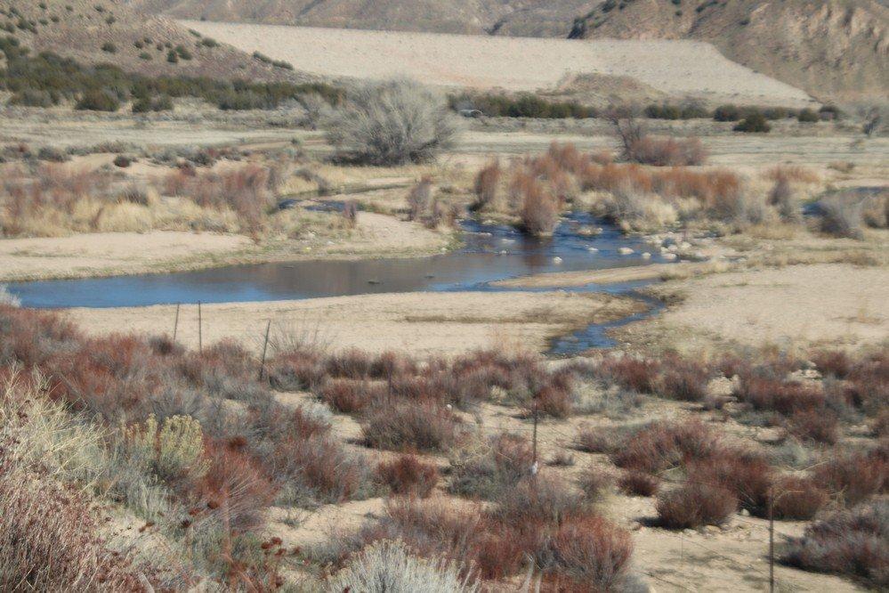 Mojave River Forks Regional Park