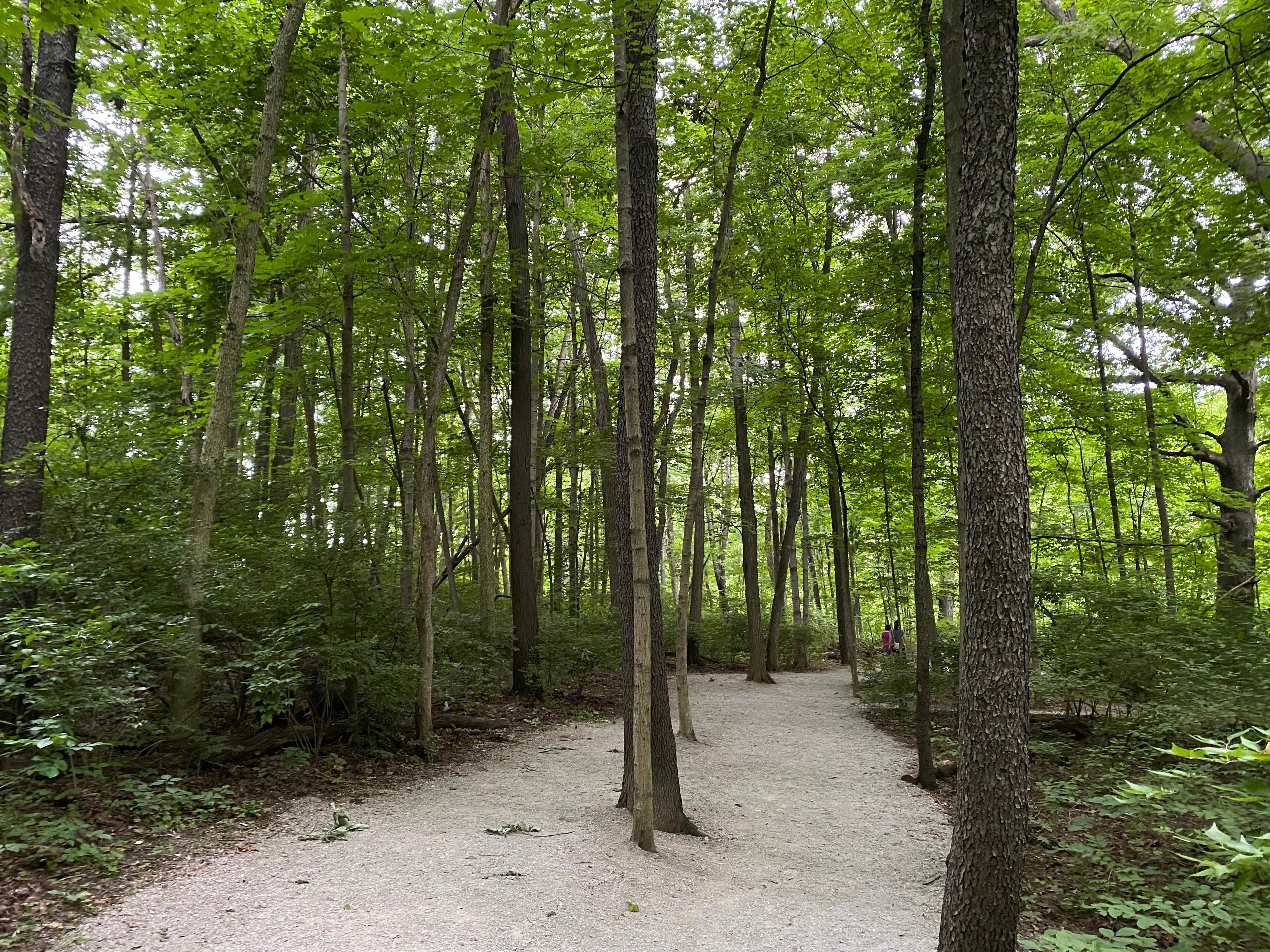 Riverside Crossing Park