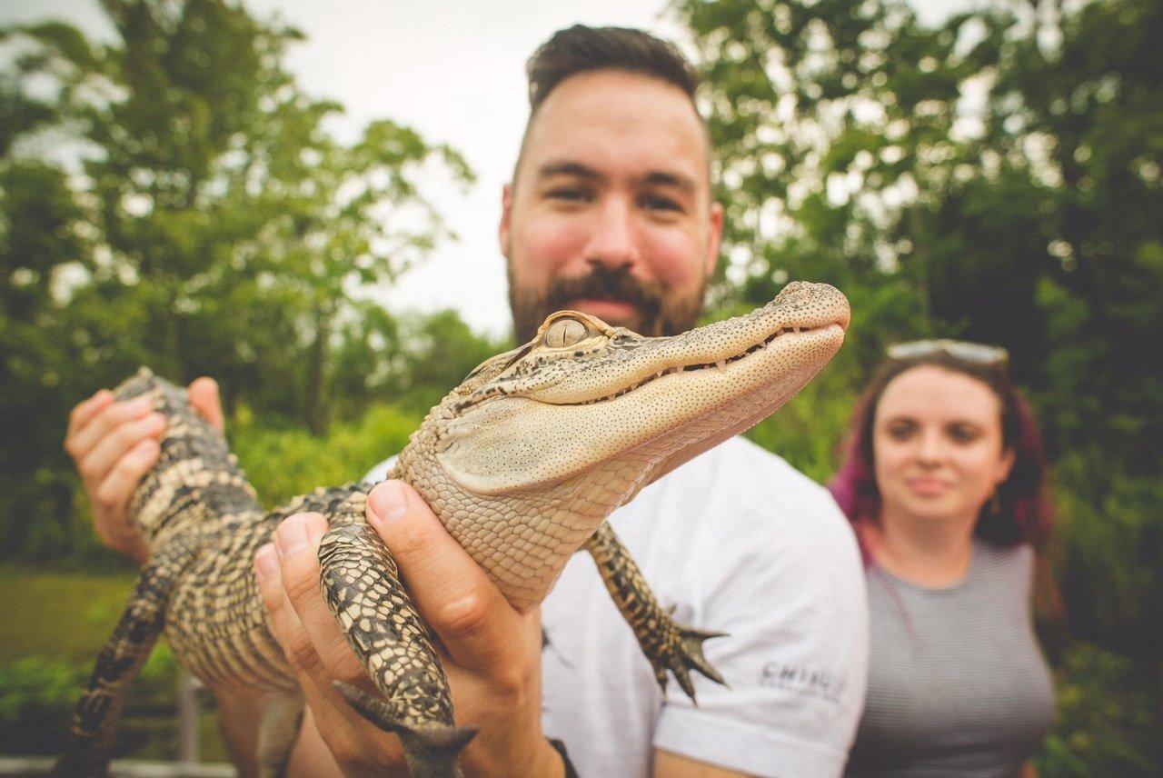 Gators and Ghosts A New Orleans Tour Company