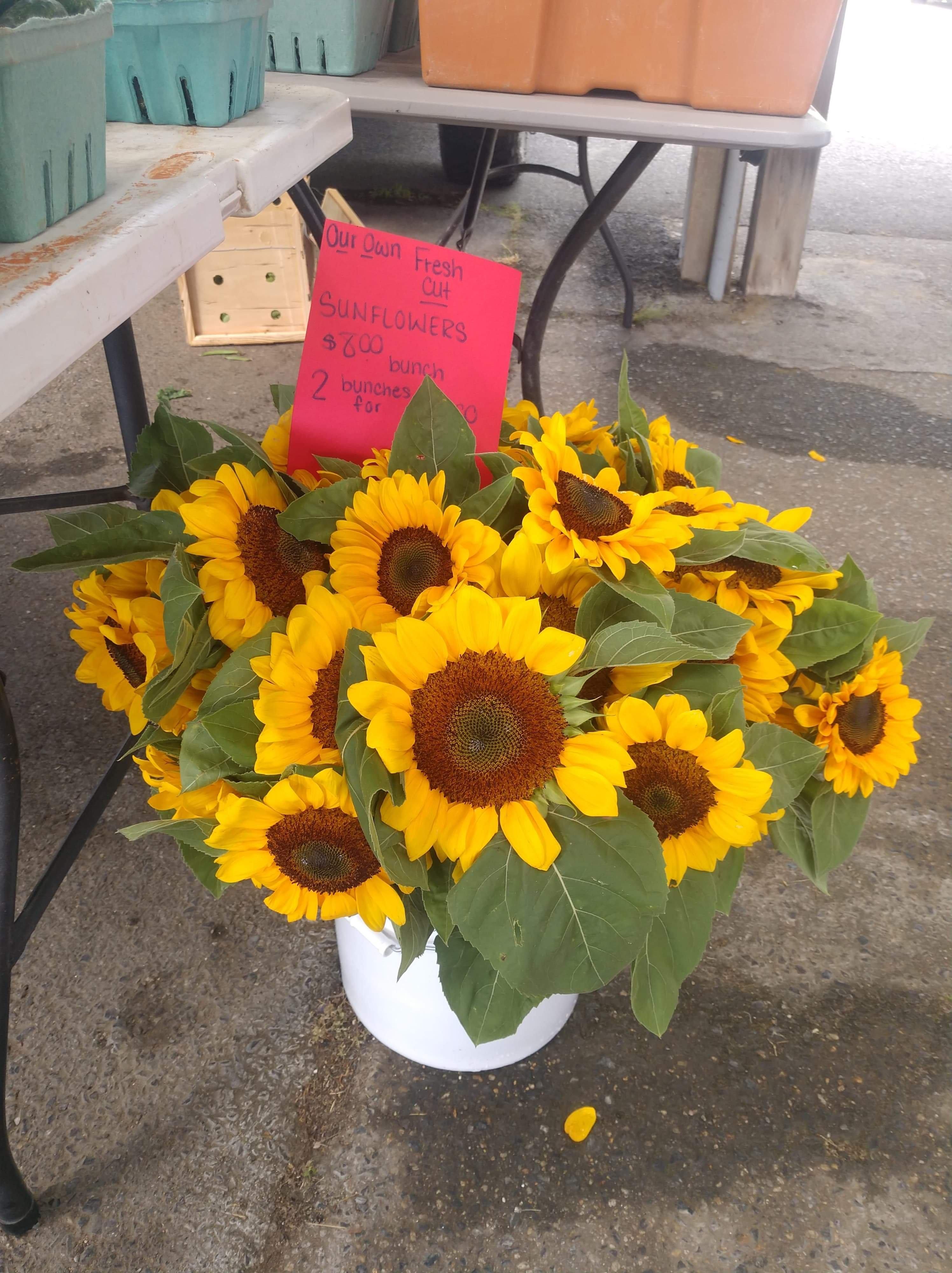 Anne Arundel County Farmer's Market