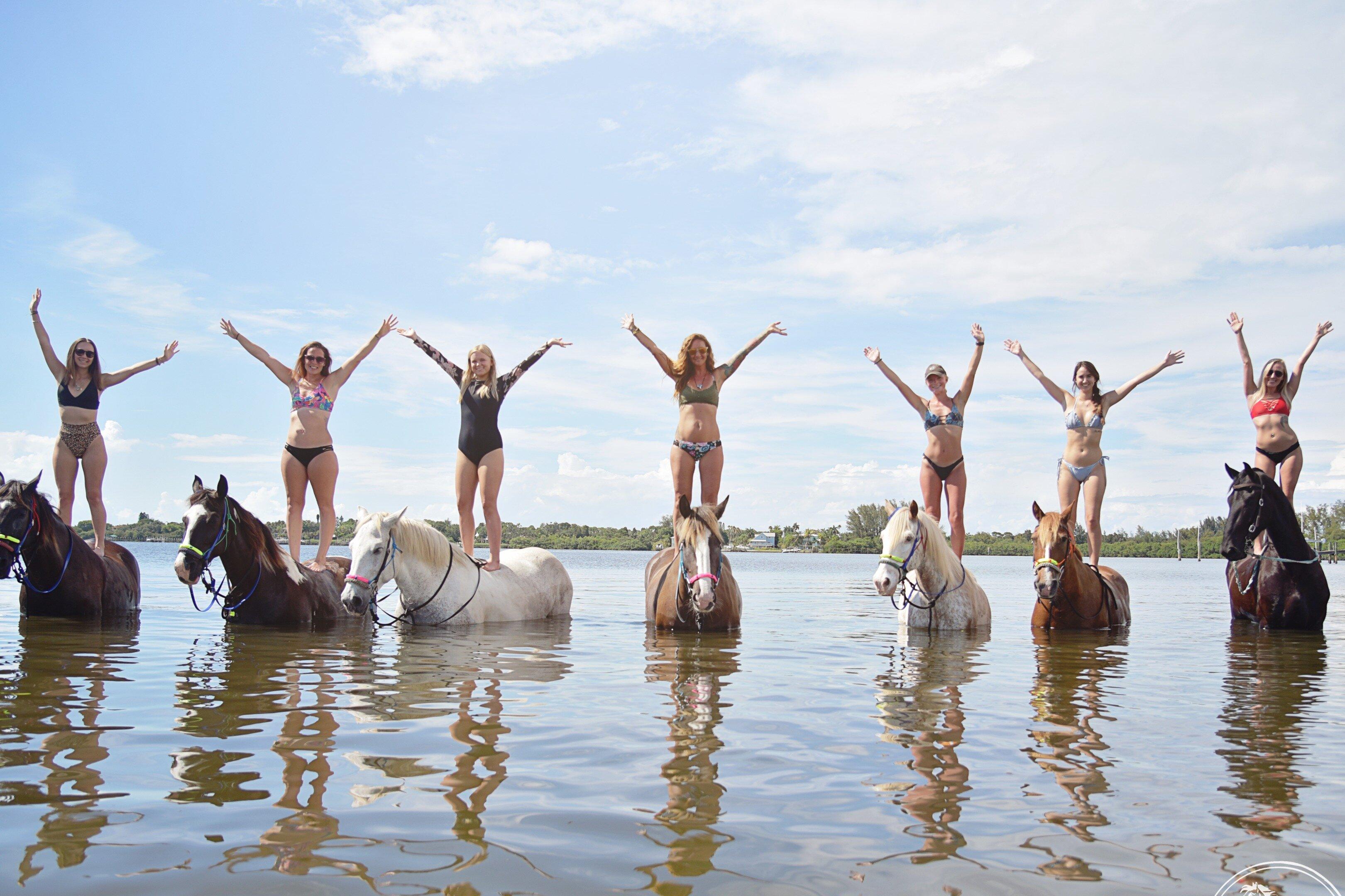 Florida Beach Horses