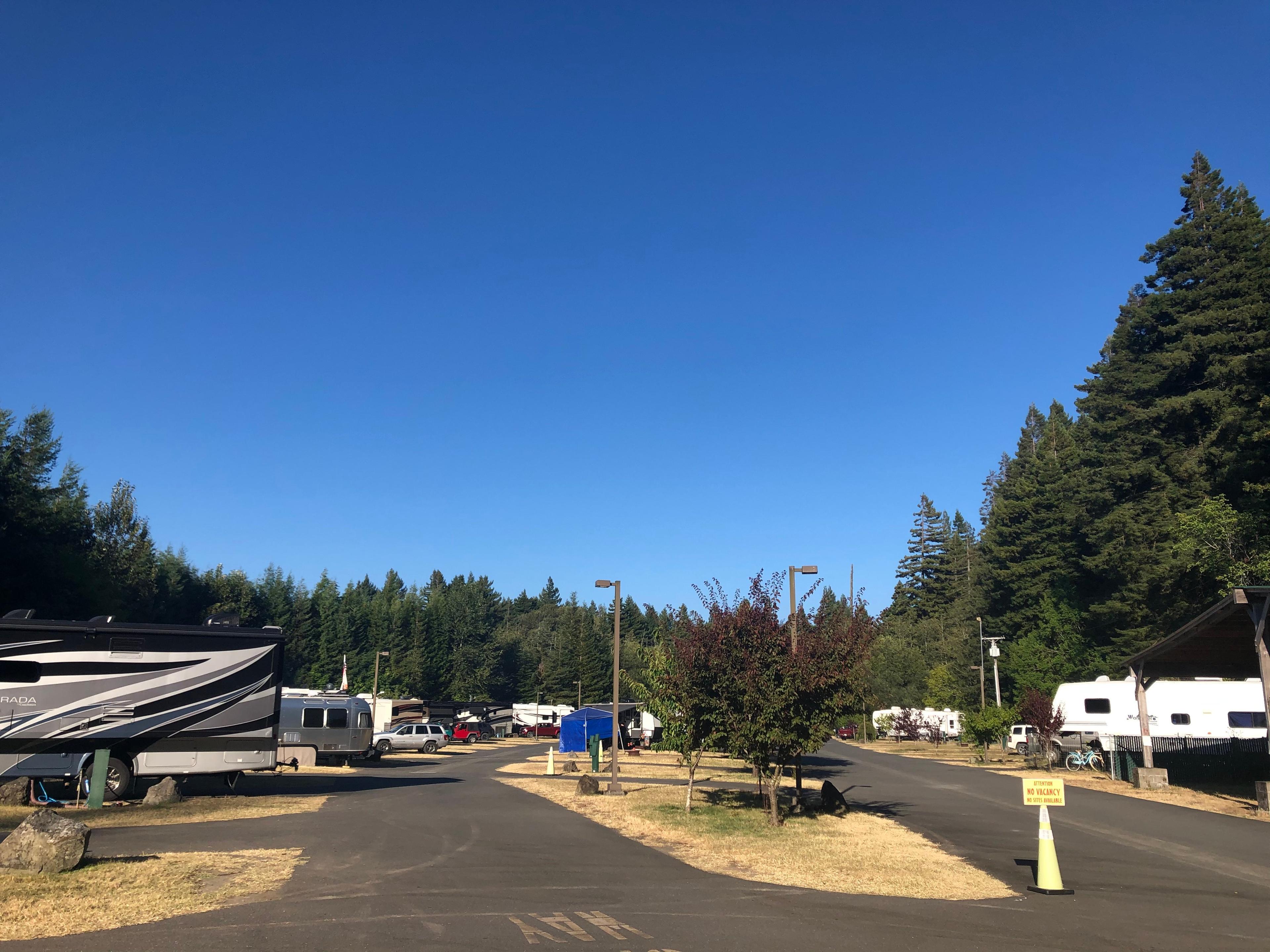 Ancient Redwoods RV Park