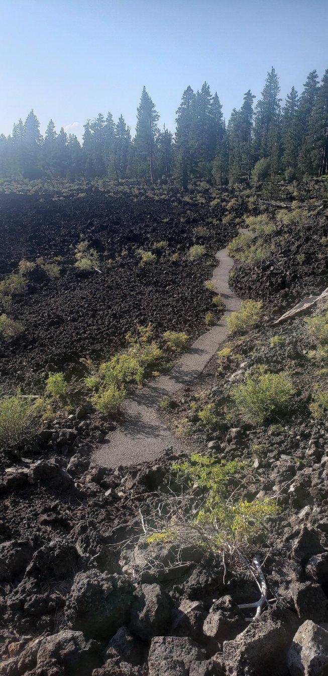 Lava Cast Forest Trail